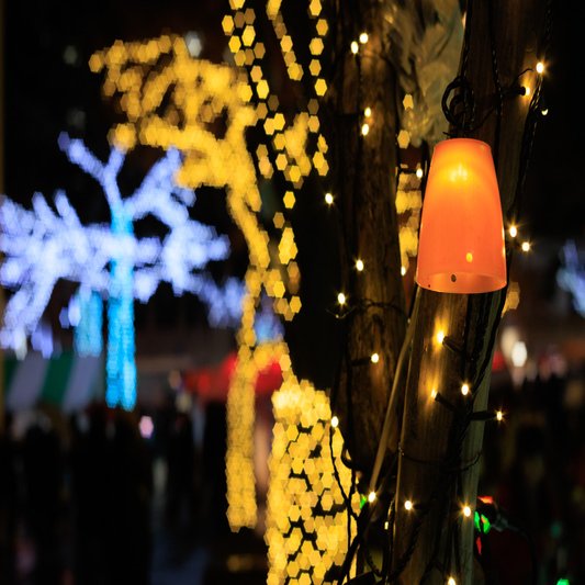 Industar 61 L/Z-MC 50mm F2.8 の星ボケ作例付きレビュー｜fuji