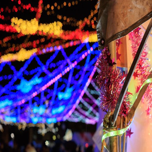 Industar 61 L/Z-MC 50mm F2.8 の星ボケ作例付きレビュー｜fuji