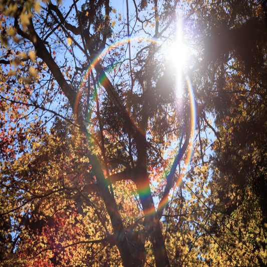 SUPER-TAKUMAR 55mm F1.8 の作例付きレビュー｜山口県の風景写真 ｜ fuji