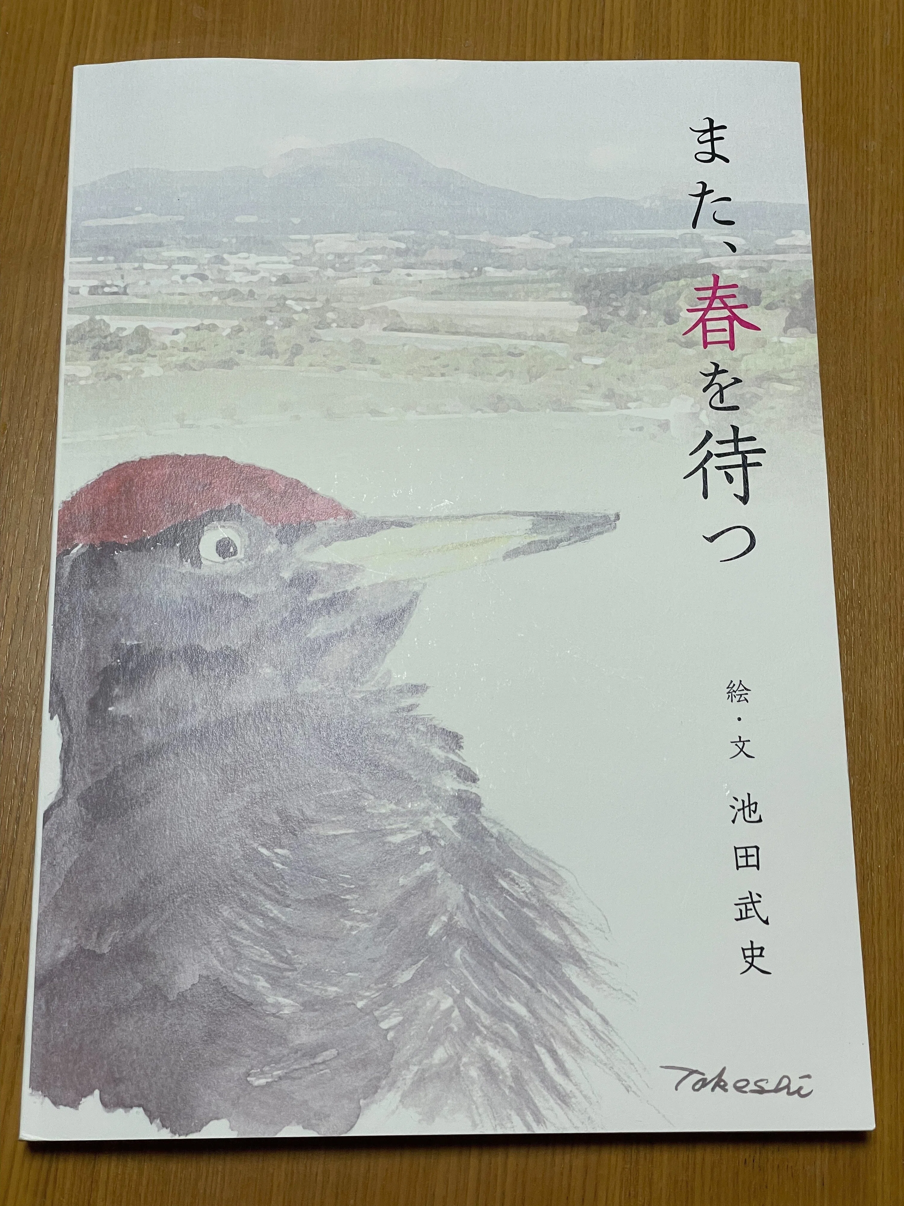 洞爺湖有珠火山マイスター名鑑 池田 武史さん (第4期, 2011年認定)｜NK1085