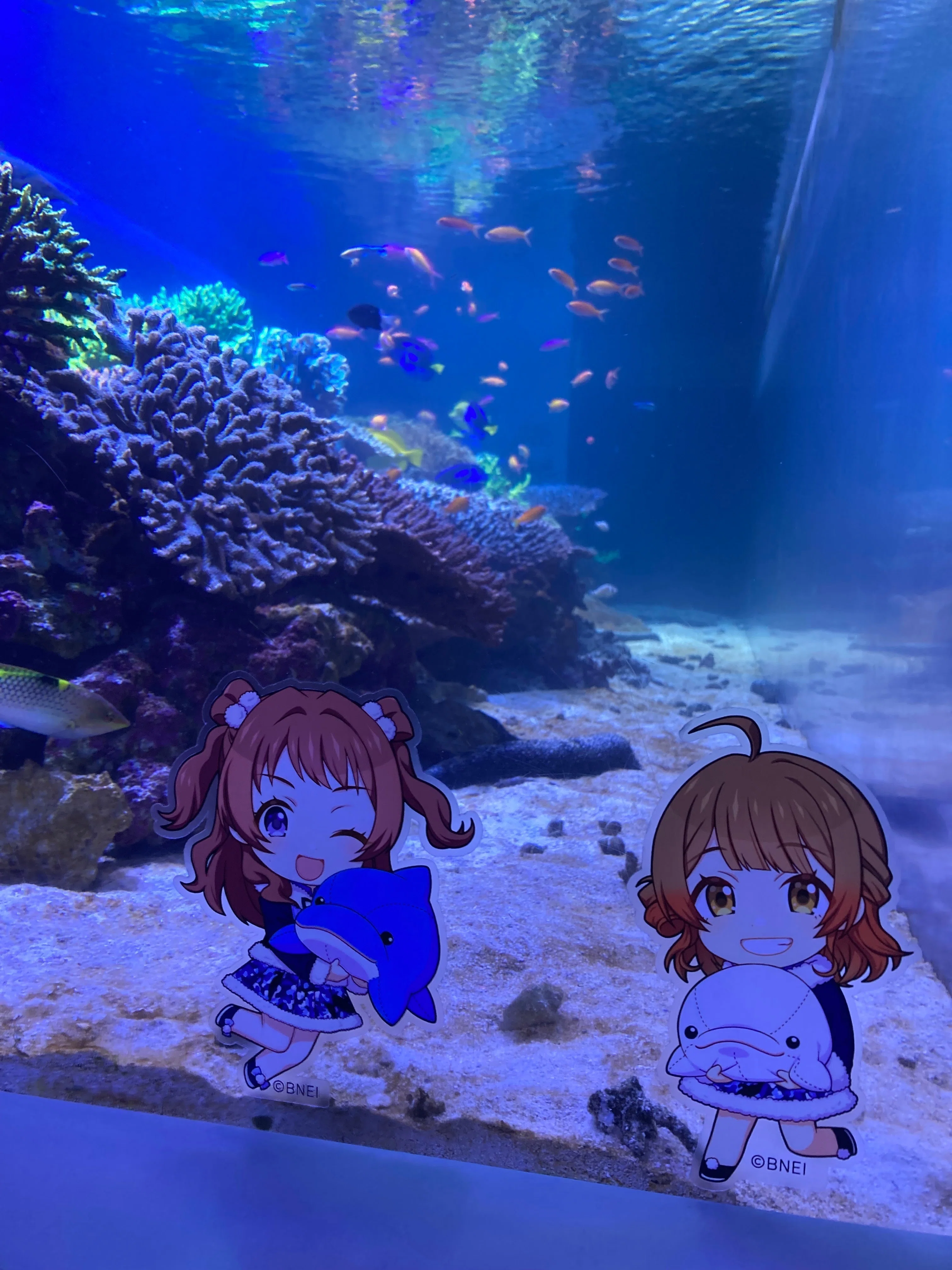 学マス×シーパラ】初星パラダイスに行ってきた｜わわい
