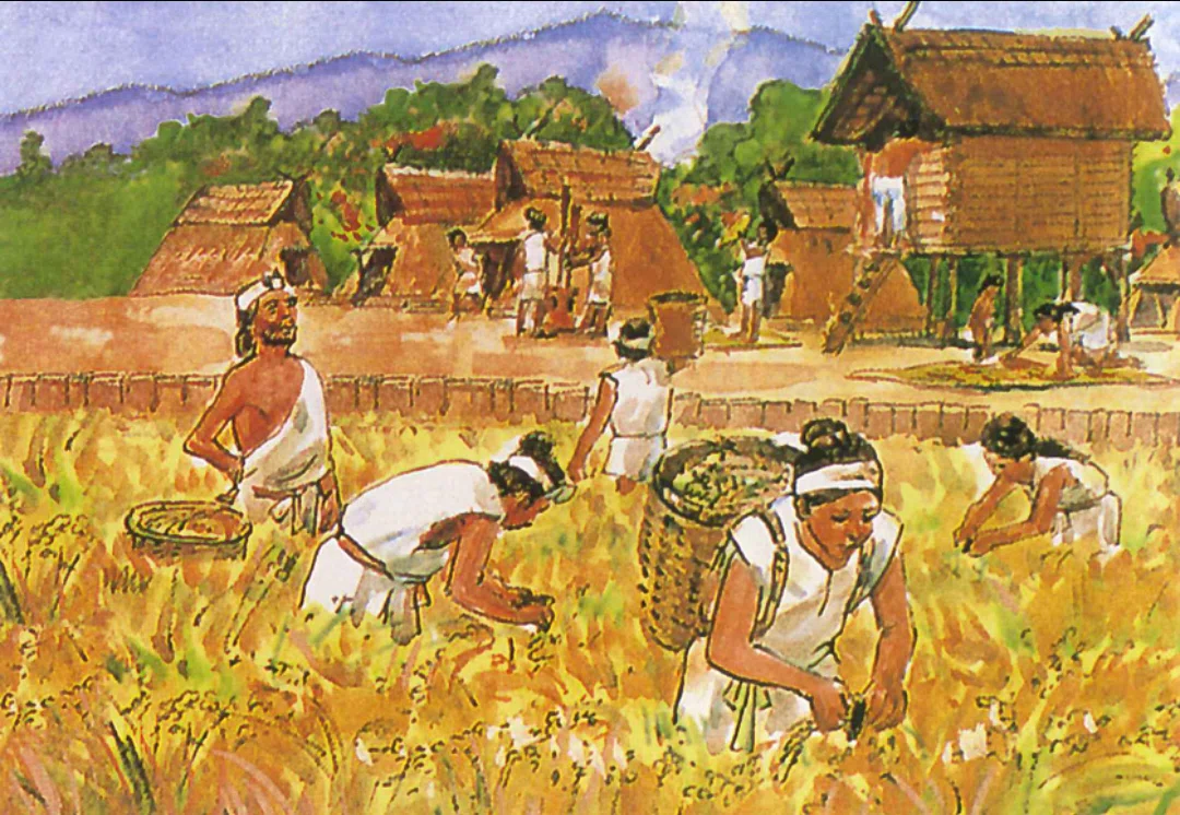 [Chapter 2] Episode 2: The Yayoi People — Continental Physical Traits ...