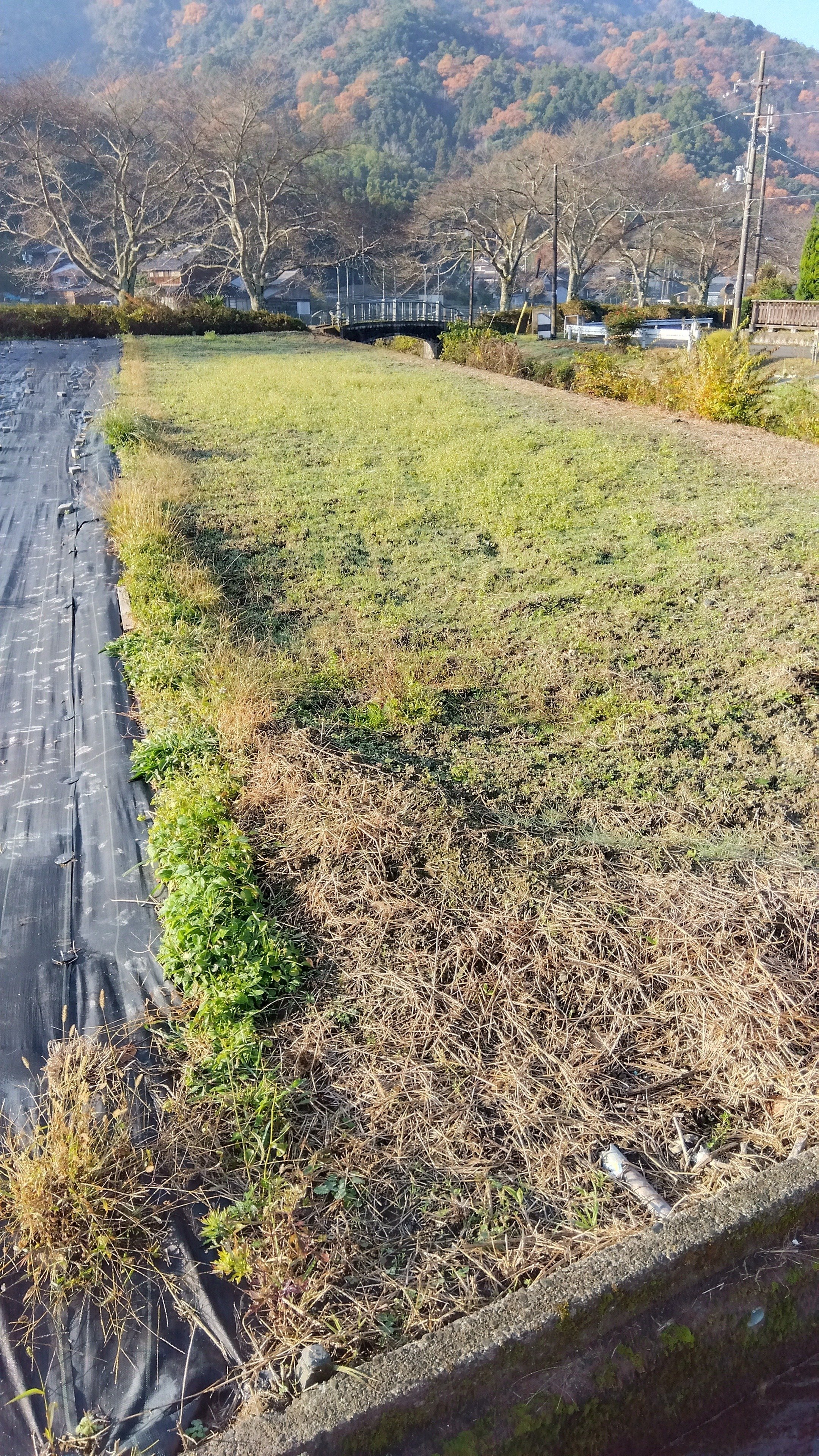 さぁ、次のステージへ 畑を始めようか｜はしゃぐ年子の心