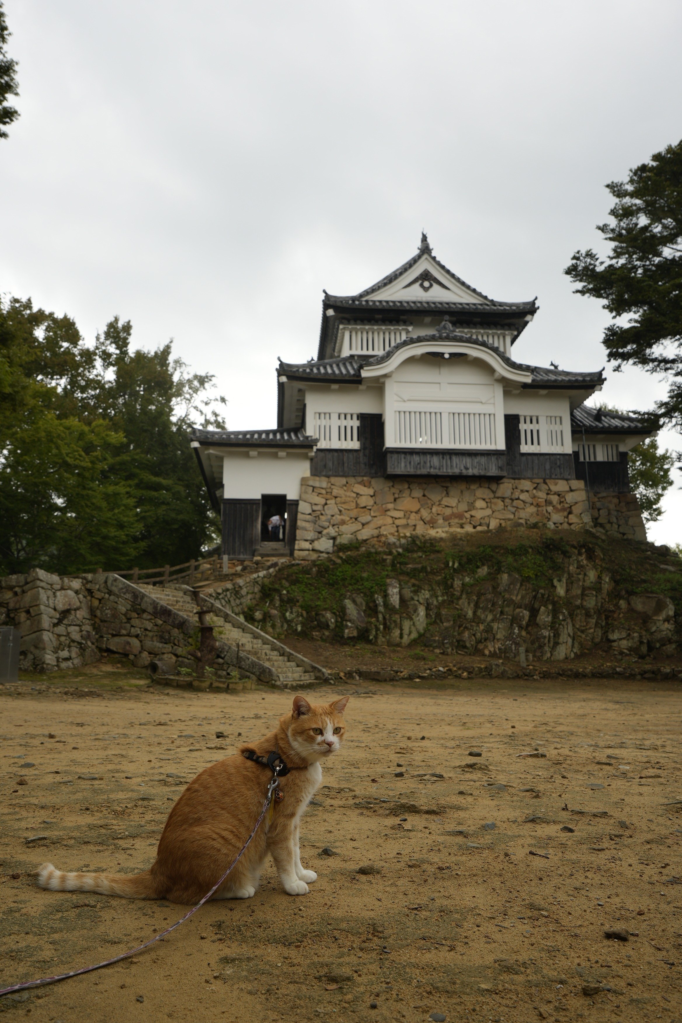 100名城RTA(061-062/100): 備中松山城・津山城｜nadir_rl