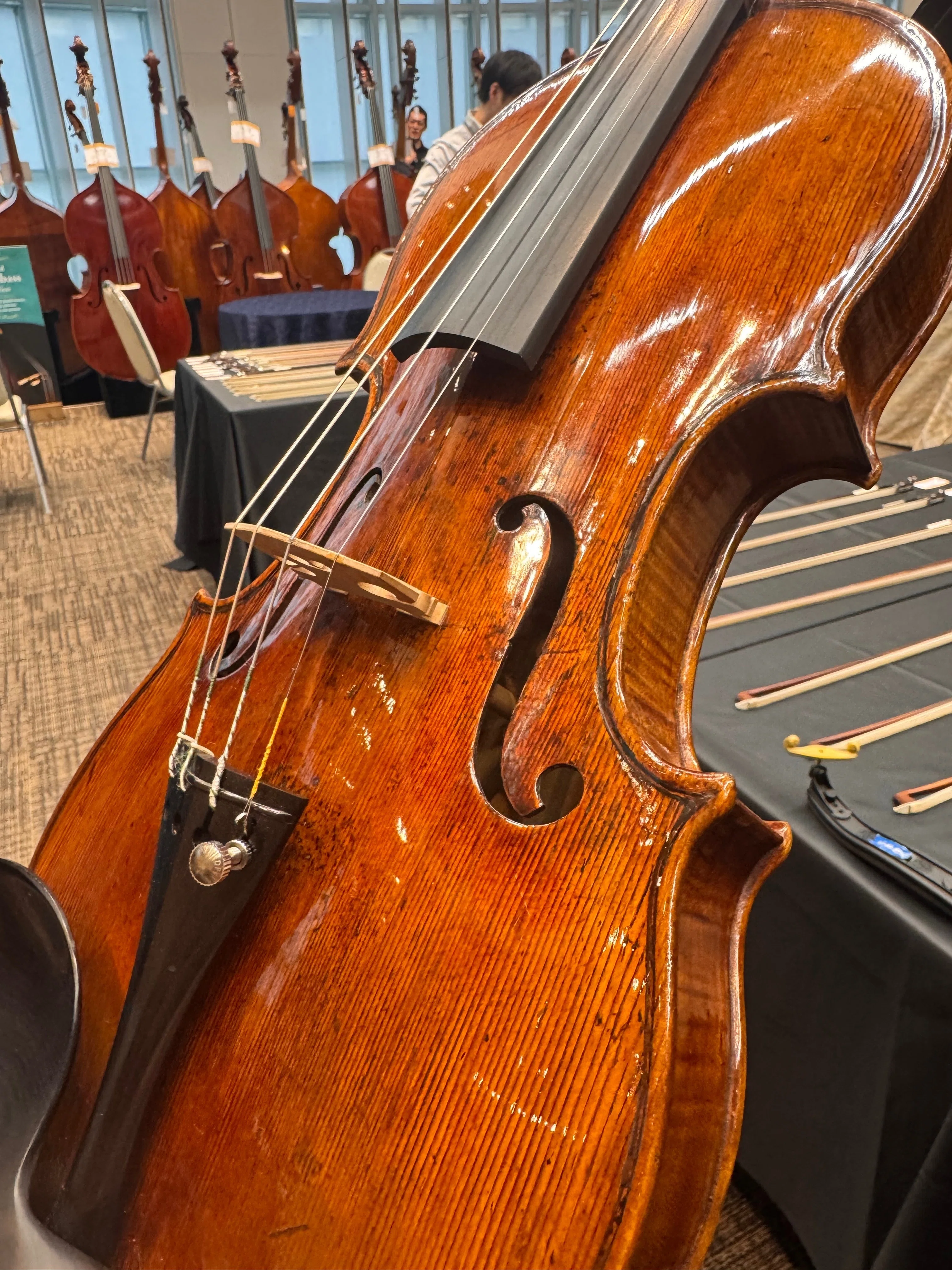 2億円の飴色紳士🎻✨①(バヨリンloversとバヨリン知ら〜ズのための