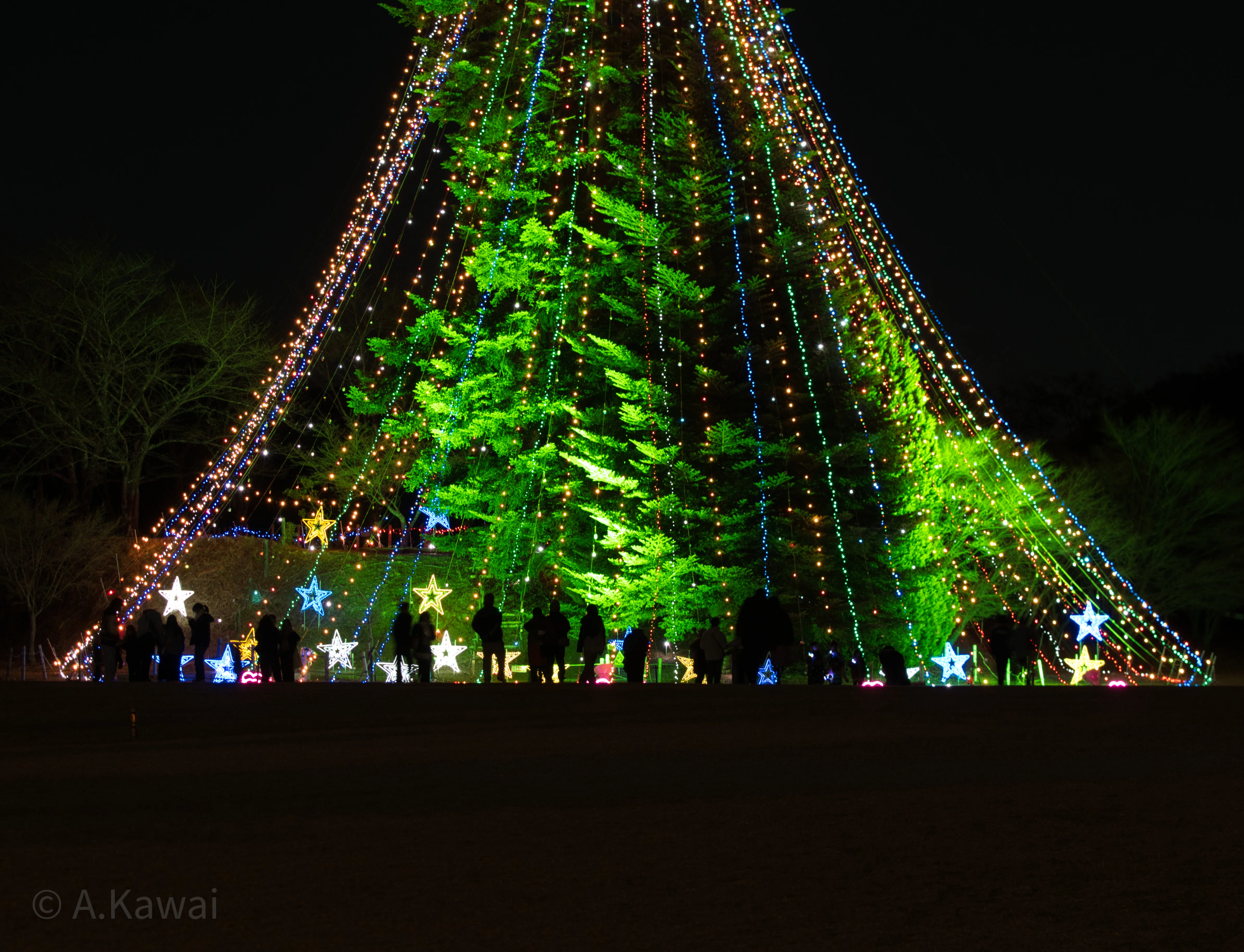 宮ヶ瀬クリスマスイルミネーション2025－神奈川の風景など（撮影