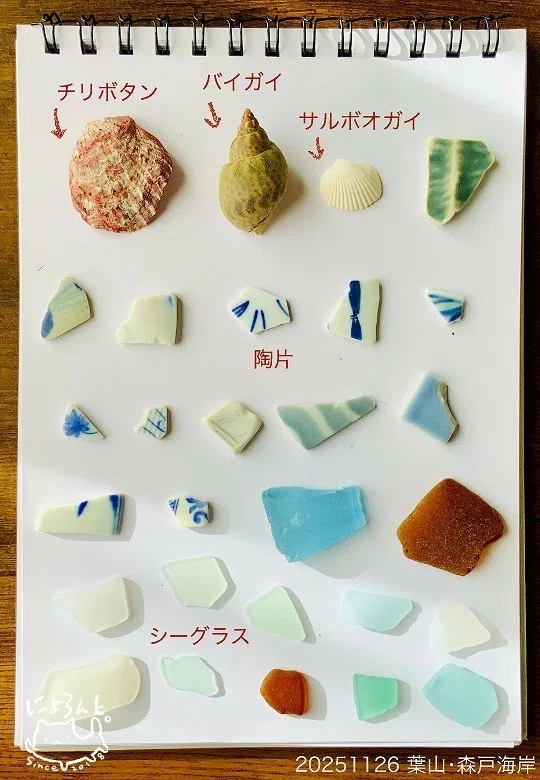 シーグラスと陶片にチリボタン!葉山・森戸海岸でビーチコーミング|ny0l0n シーグラスと陶片にチリボタン!葉山・森戸海岸でビーチコーミング|ny0l0n