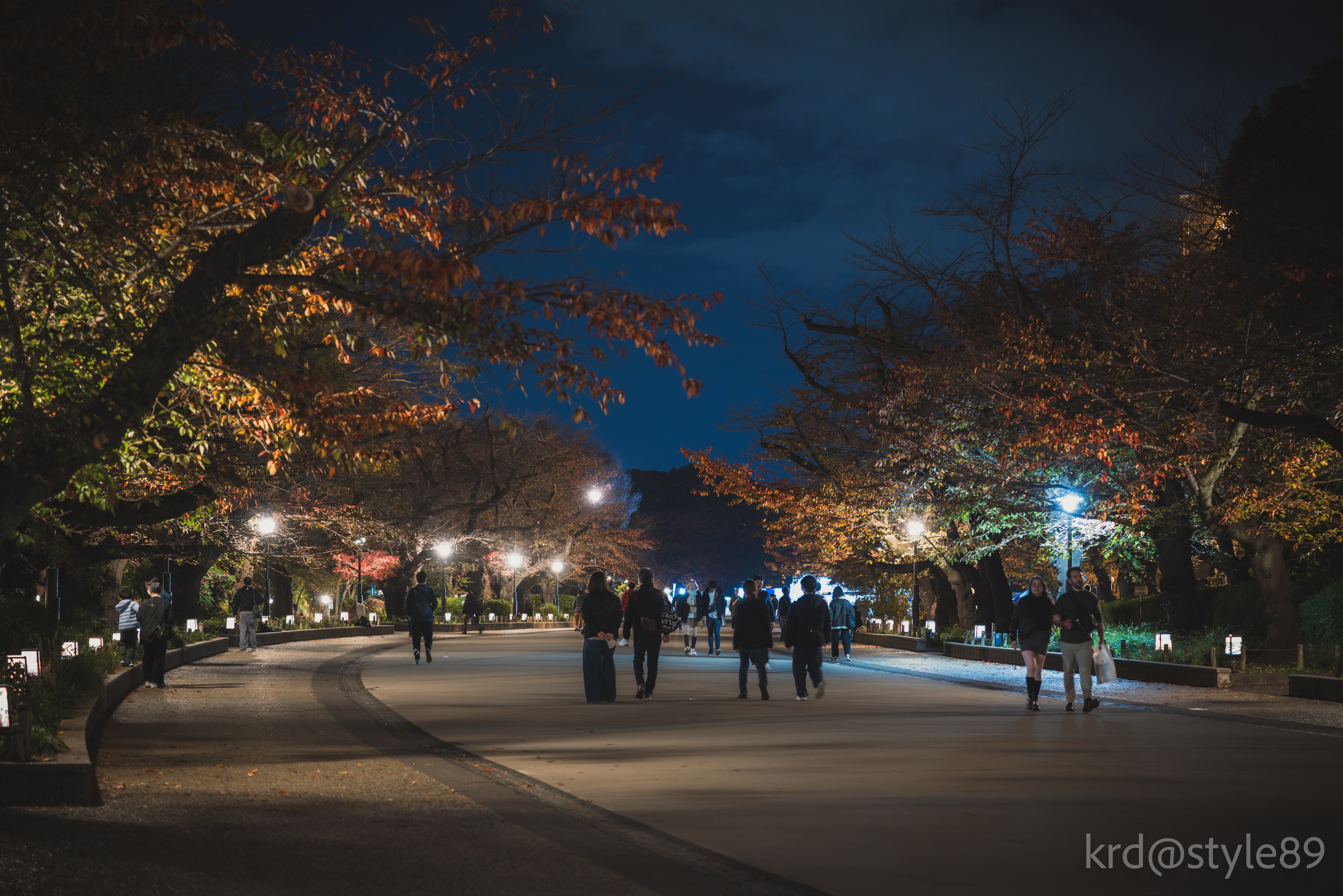 東京散歩 夜の上野公園｜krd@style89