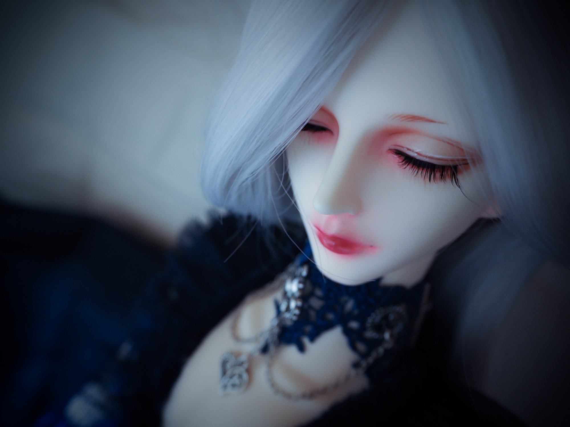 ドール】8th anniversary !! / 冬歳｜蒼幻しいか