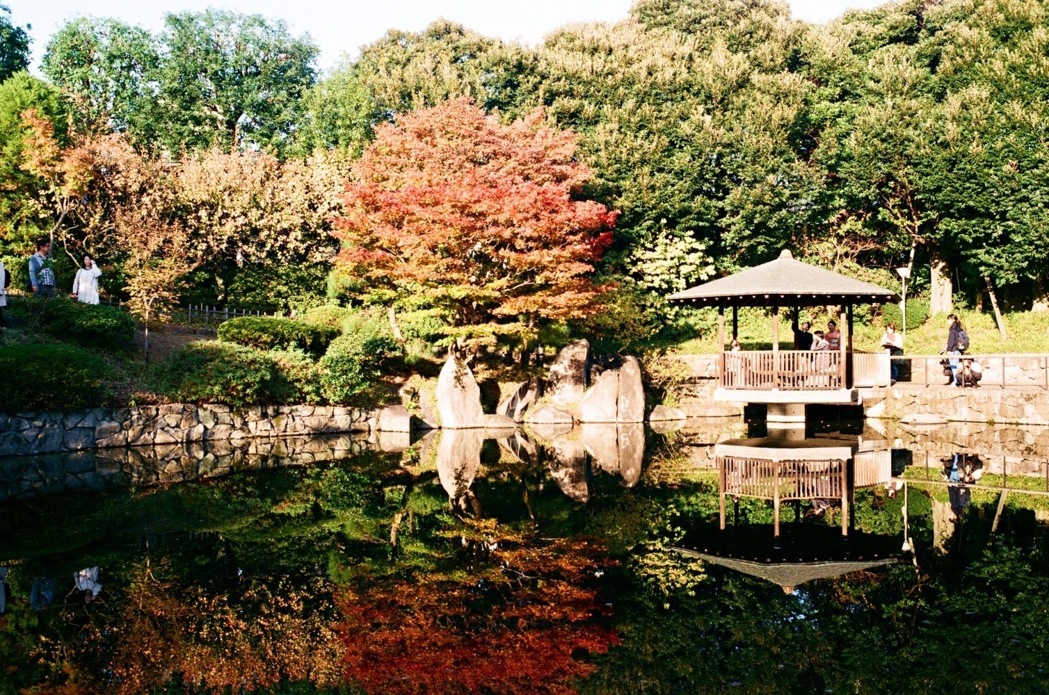 48．紅葉とOLYMPUS OM-1とG.ZUIKO Auto-W 35mm/F2.8＜レンズ＞｜神成