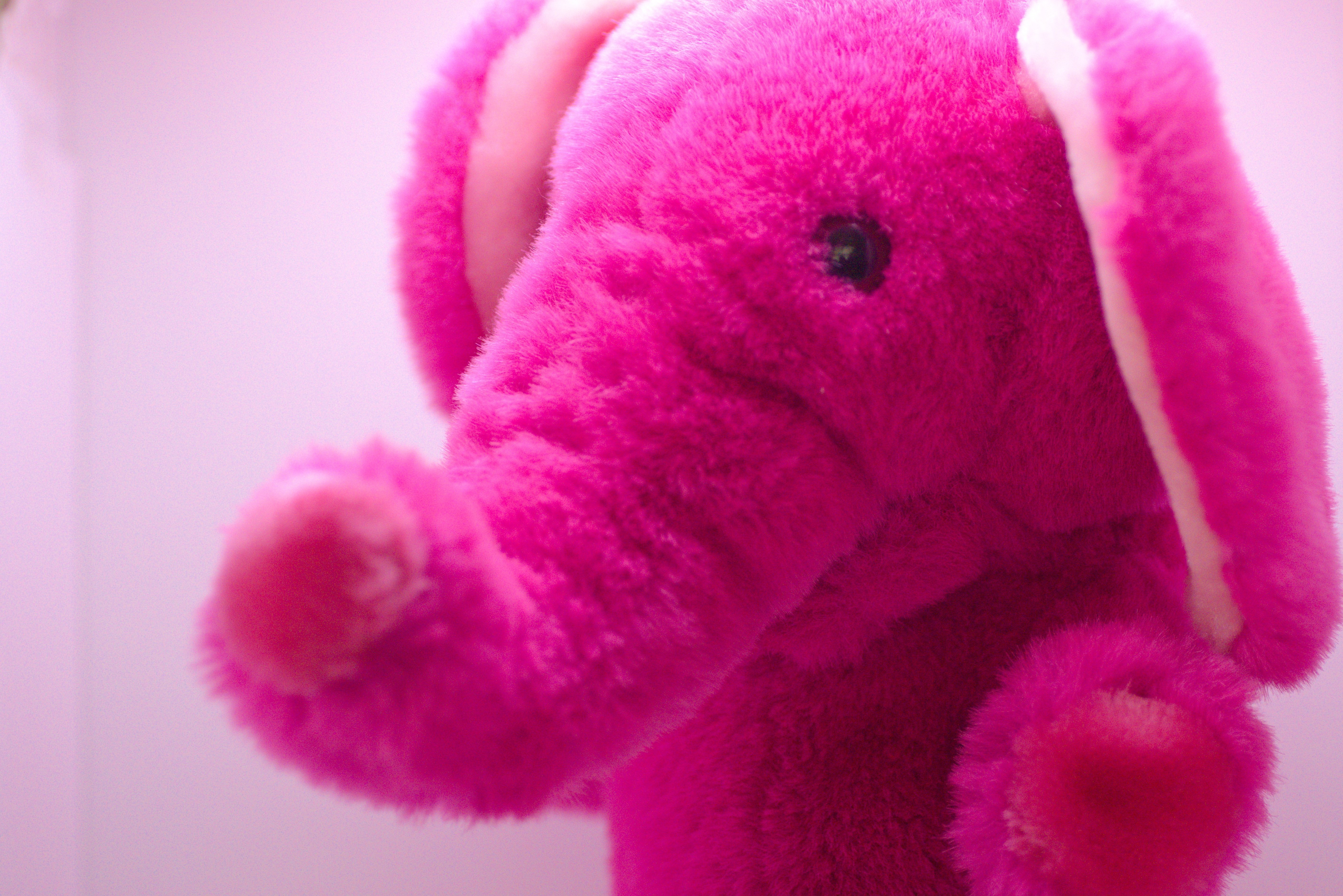 ピンク ゾウ プレイトーキン パペットぬいぐるみ cocco愛用 桃象トイザらス プレイトーキン｜かずい