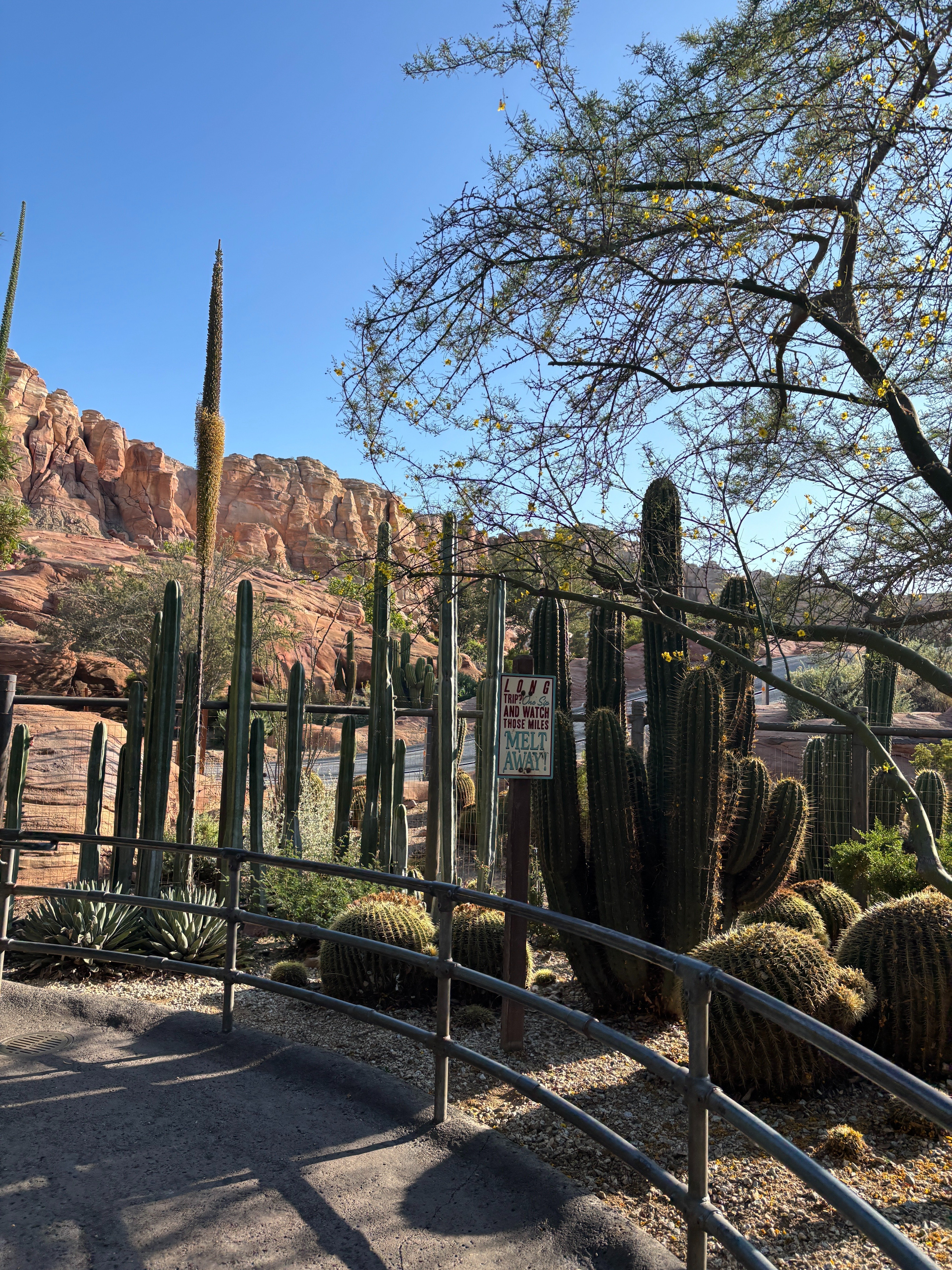 ディズニー・カリフォルニア・アドベンチャー・パーク 【アメリカ14泊