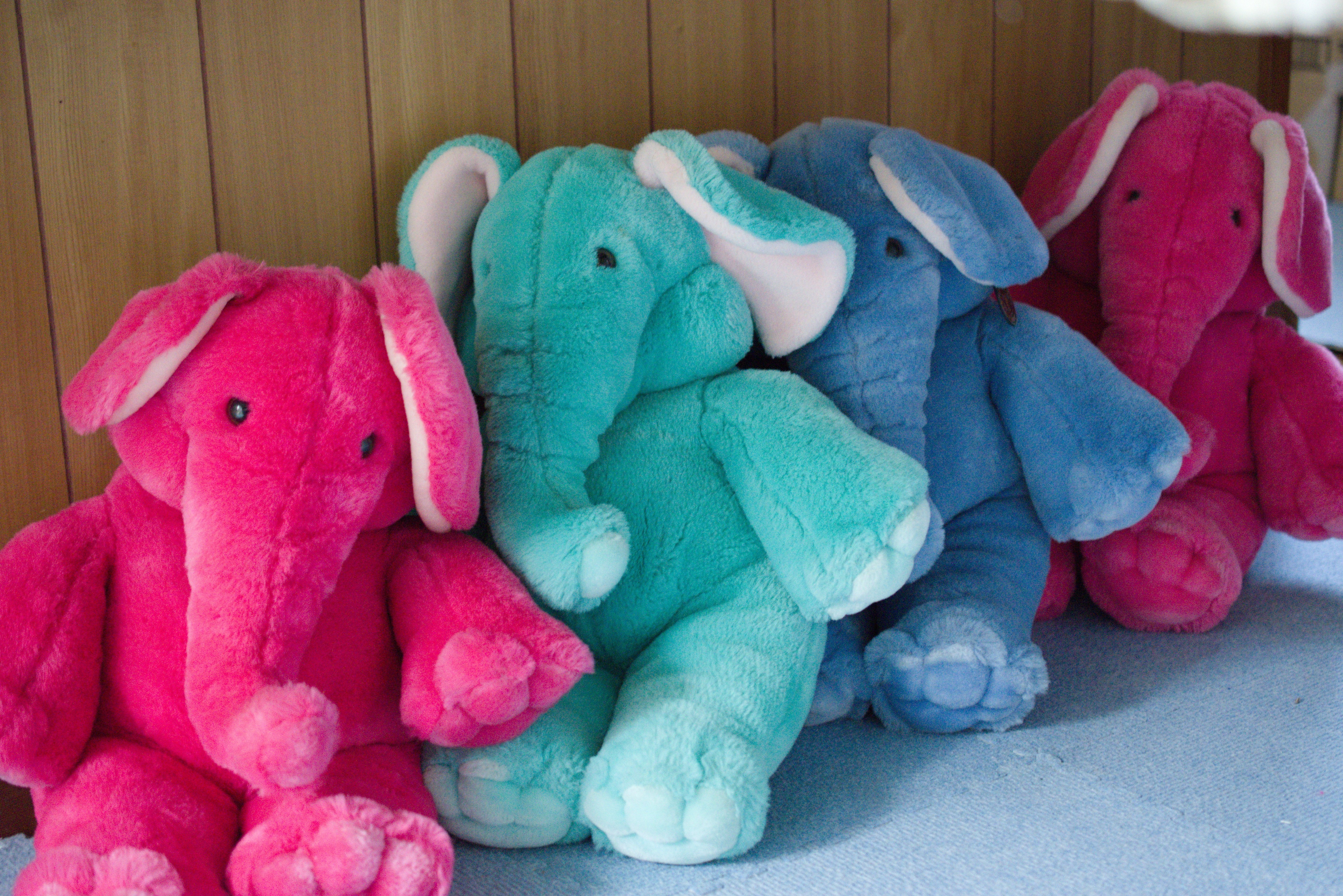 プレイトーキン｜かずい