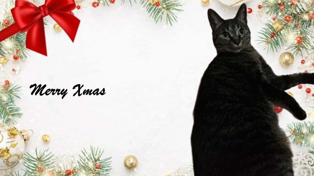 ちょこちゃんクリスマスカード｜デジタルキャリアラボ新宿