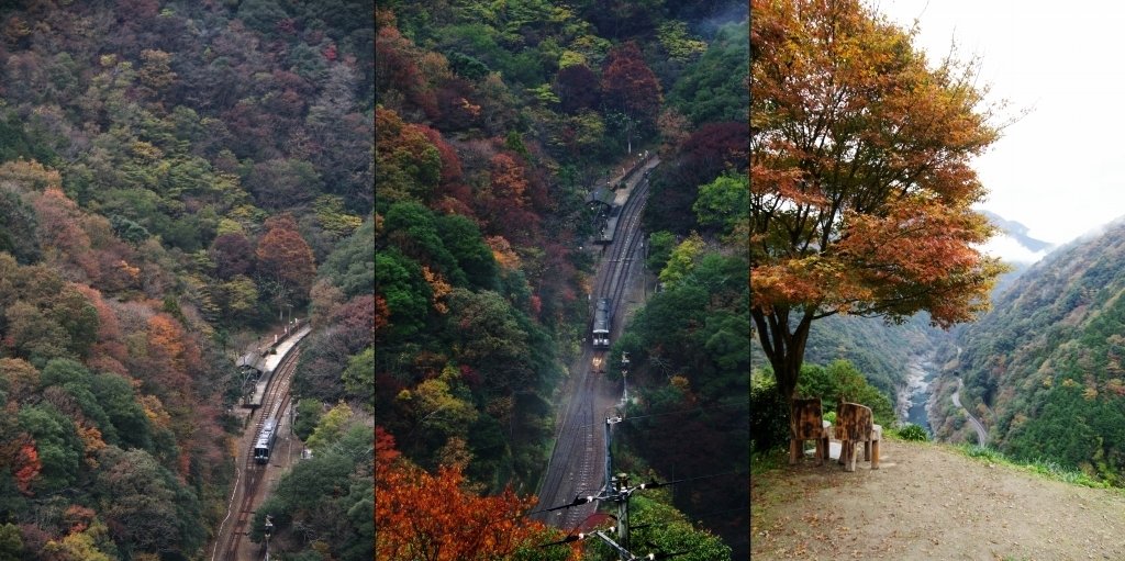 風が叫び雨が泣いて紅葉は極上のエンターテイメント｜旅するカメラ＠土
