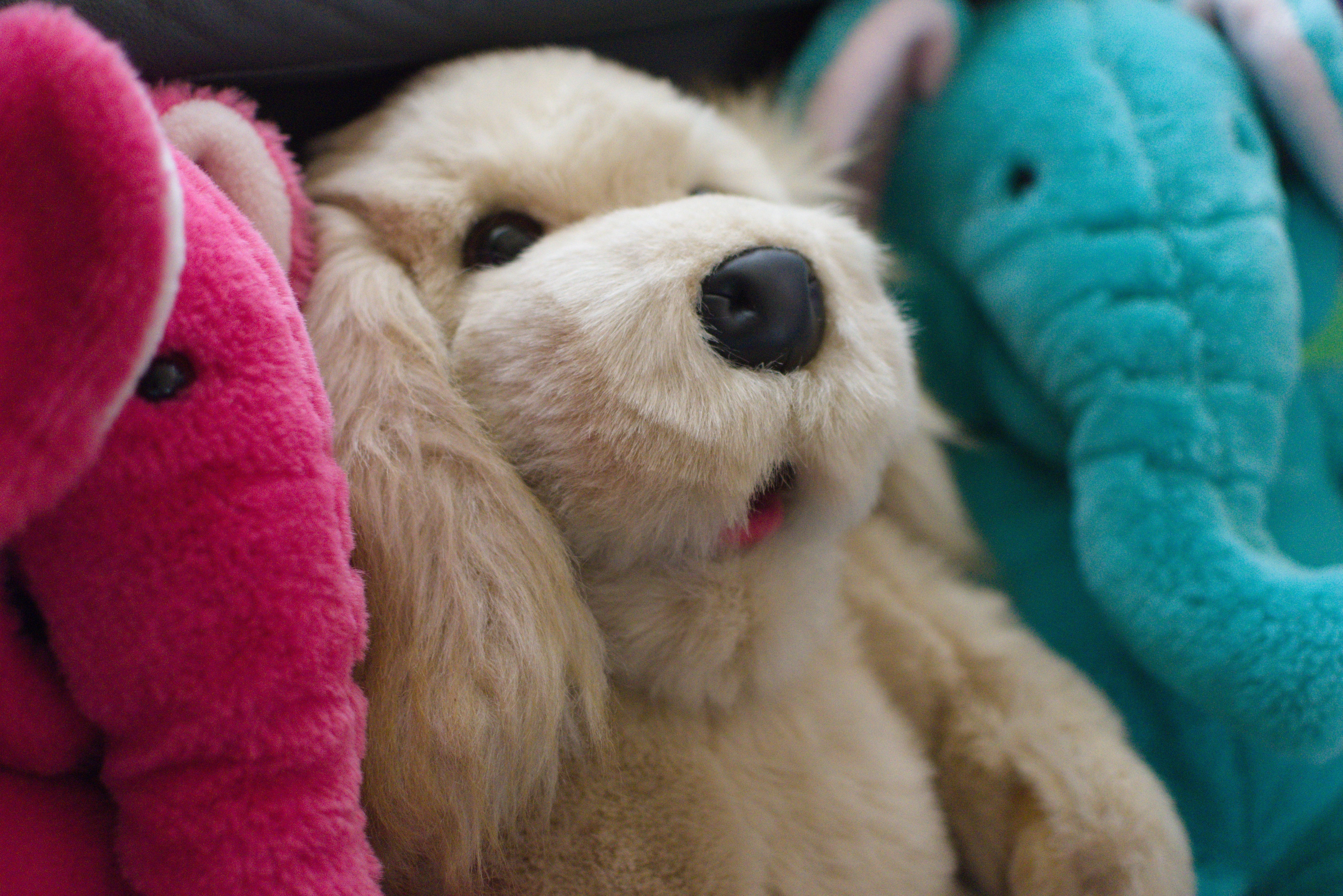 プレイトーキン｜かずい