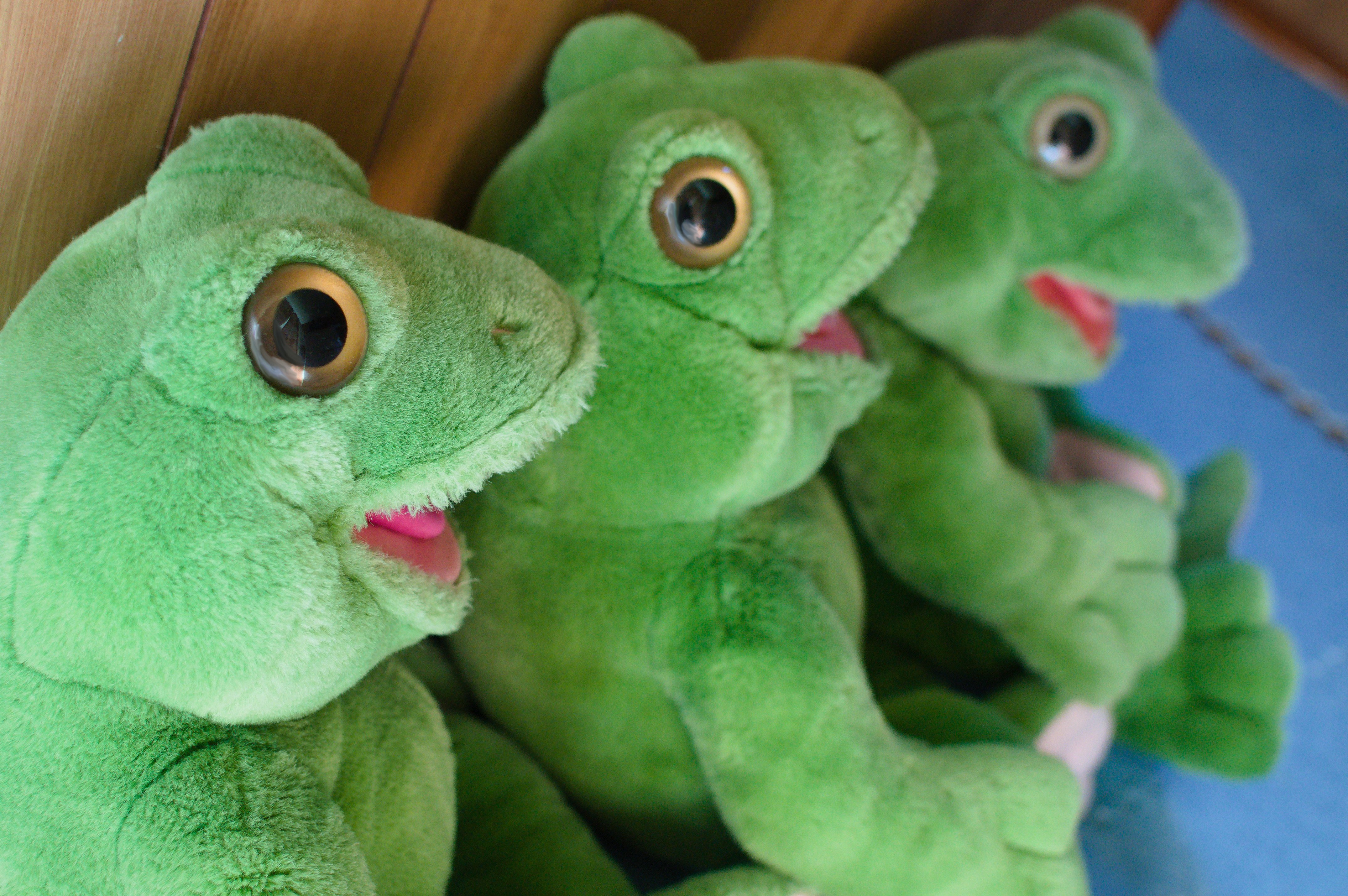 プレイトーキン｜かずい