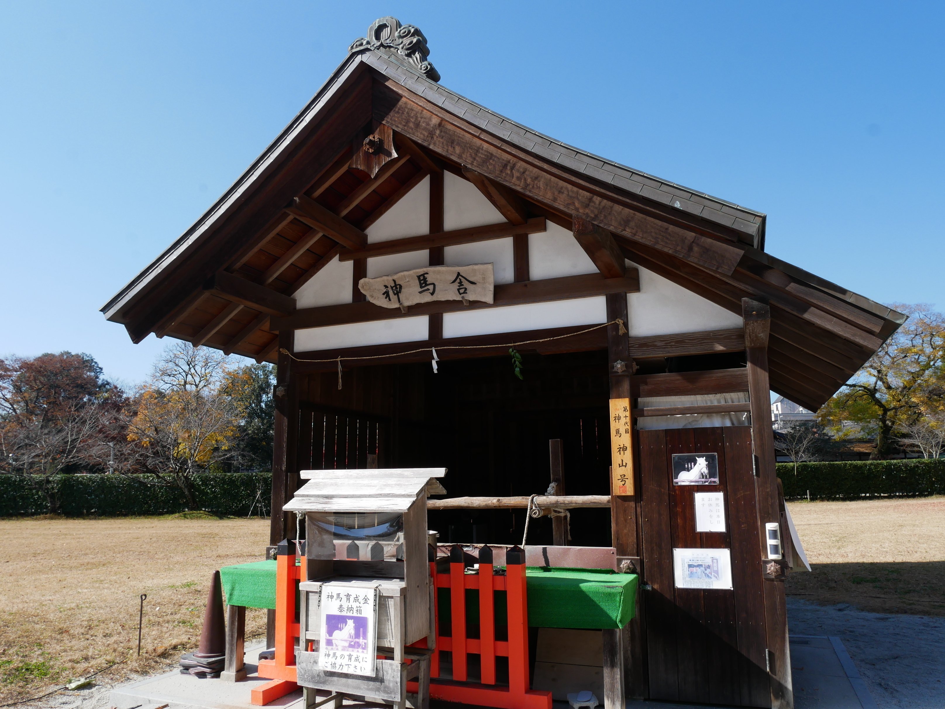 639 晩秋の京都・上賀茂神社で紅葉を愛でる｜ミヤコカエデ（Miyako Kaede)