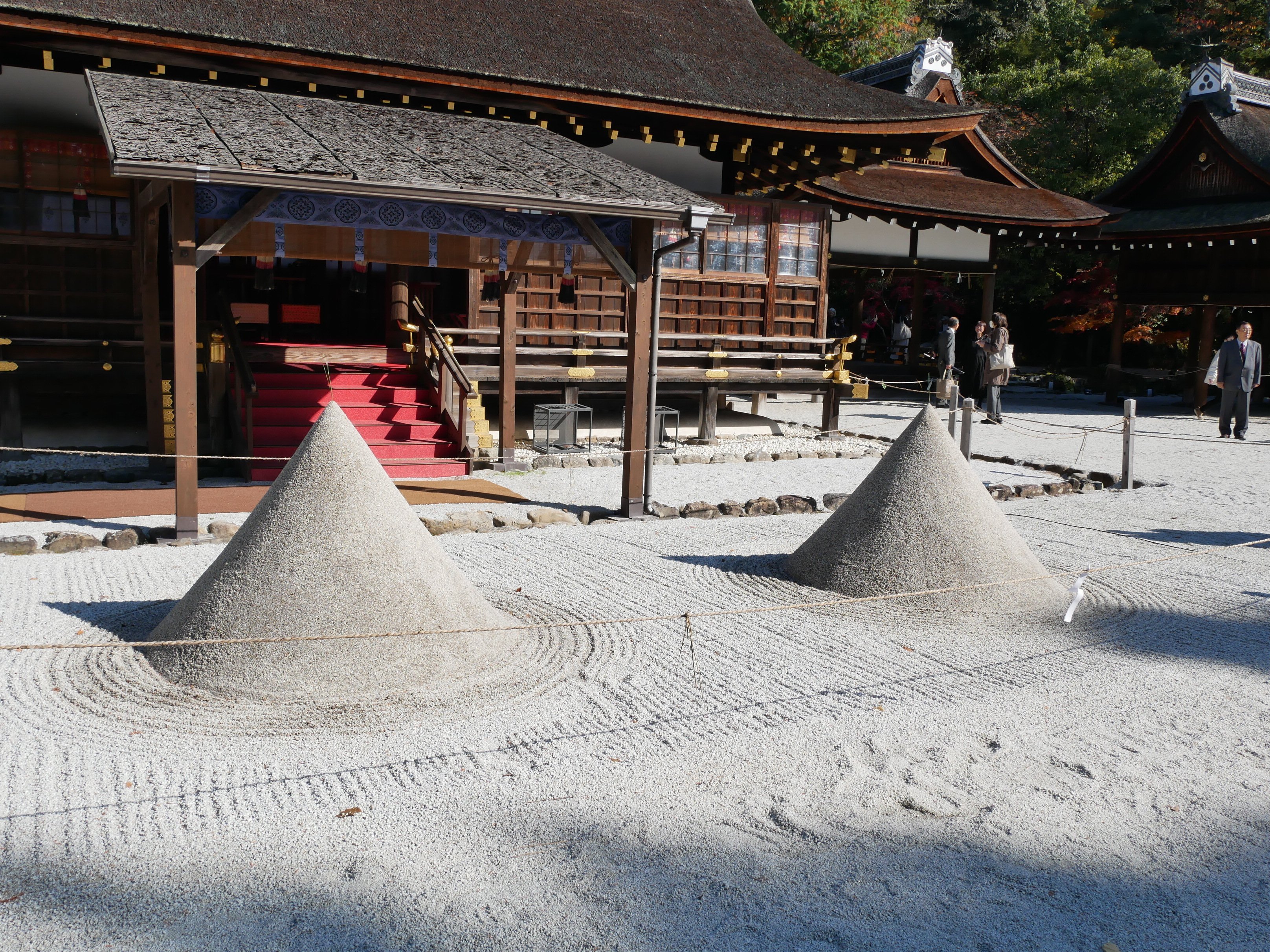 639 晩秋の京都・上賀茂神社で紅葉を愛でる｜ミヤコカエデ（Miyako Kaede)