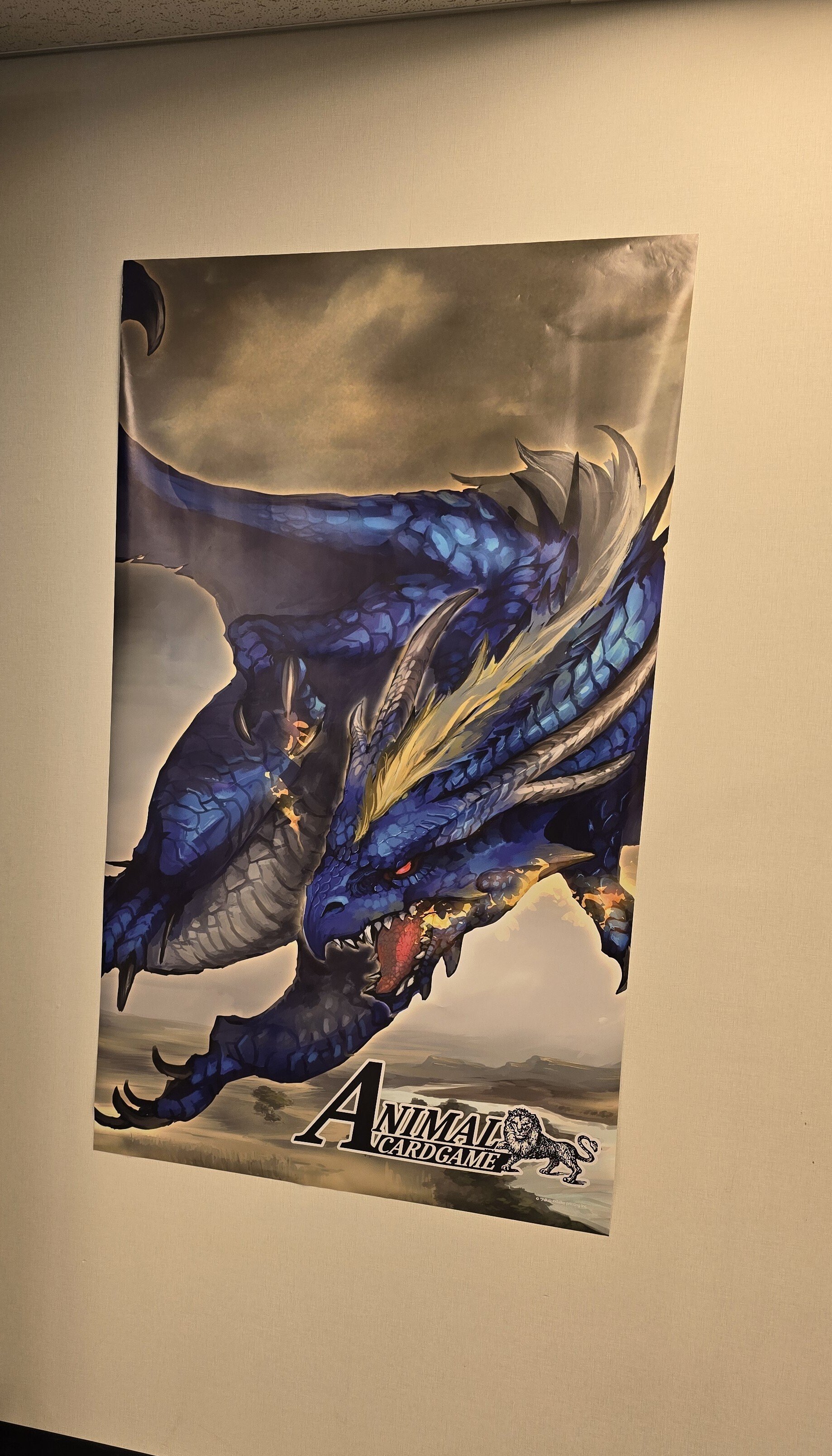 アニマルカードゲーム 日本GP2025東京参加日記｜かぼ