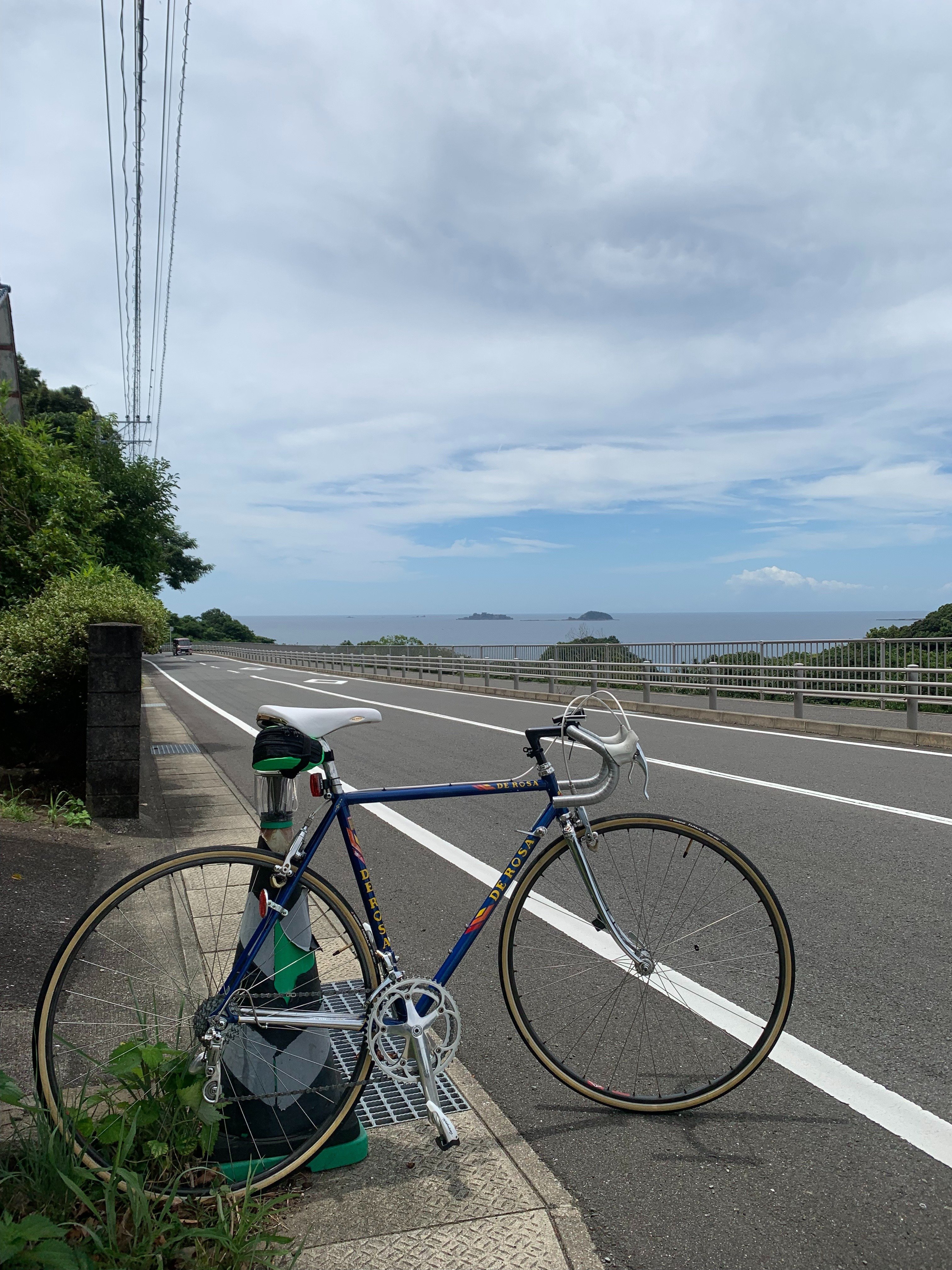 愛車紹介1:DE ROSA Professional C｜vogue-rider
