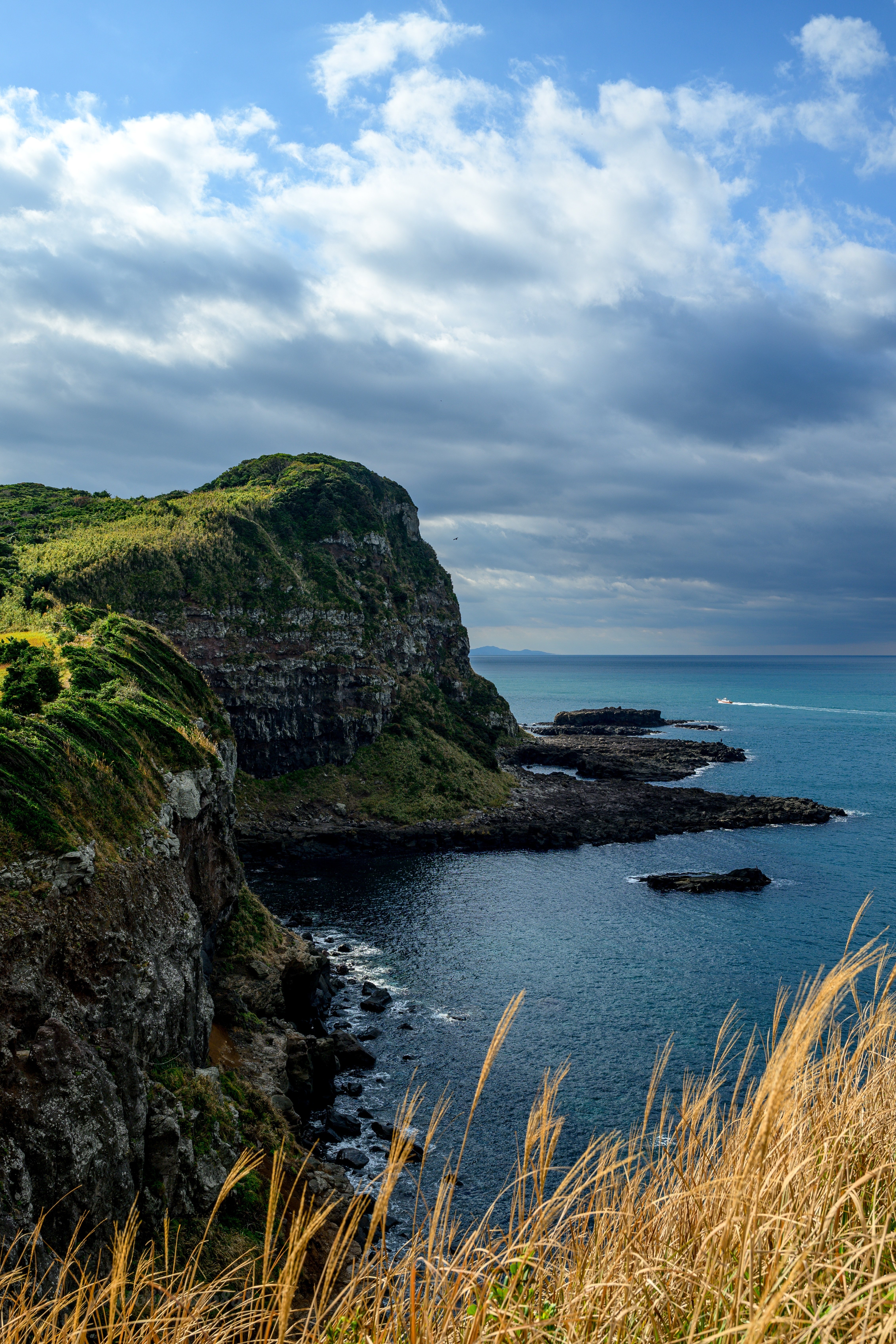 風景を撮りに行ったら