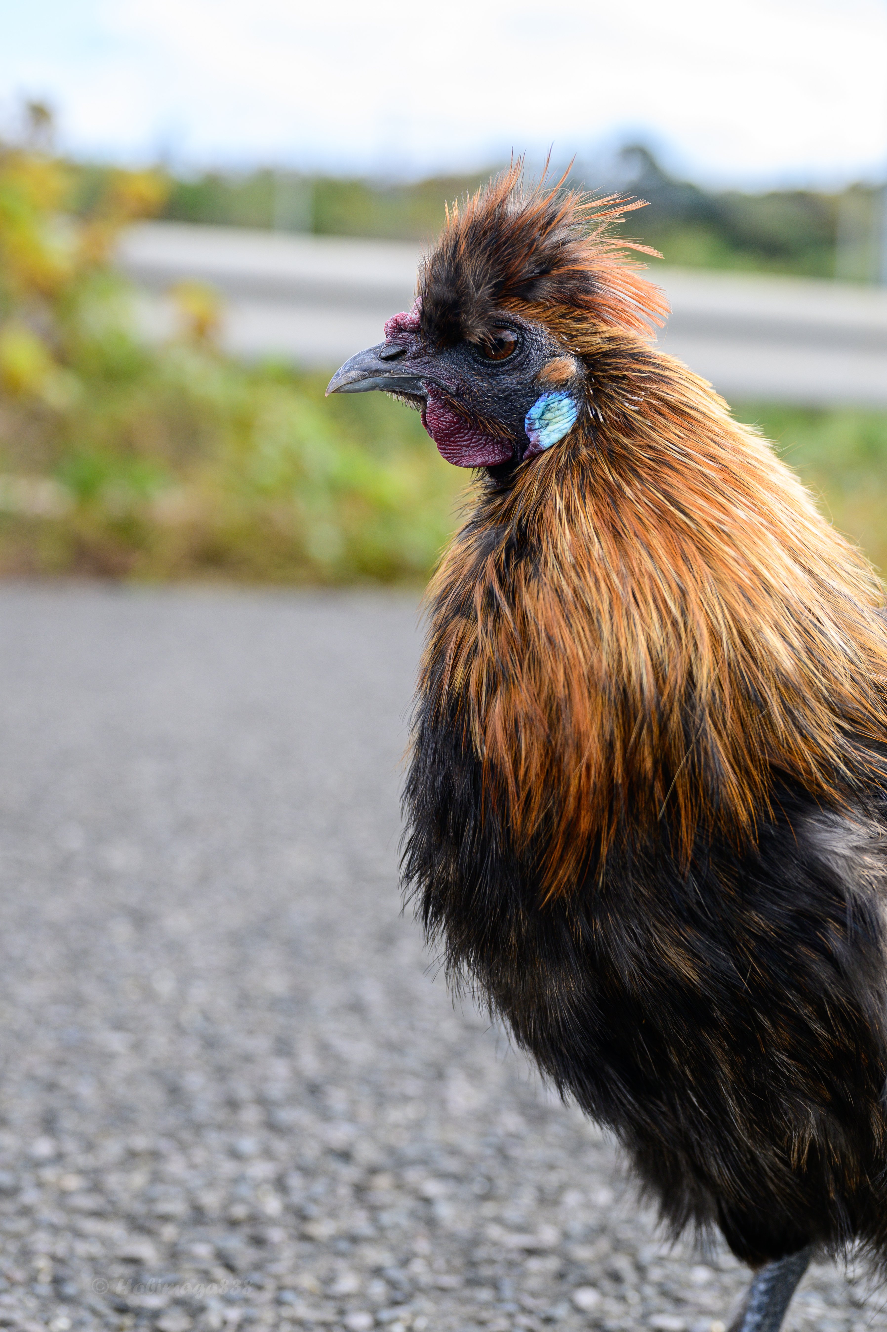 風景を撮りに行ったら