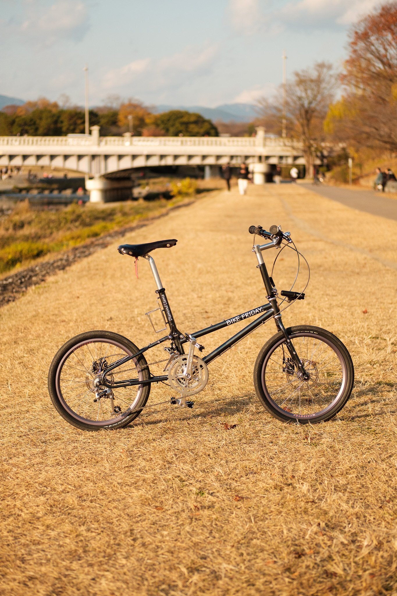 BIKE FRIDAY Diamond Llamaを買いました｜103