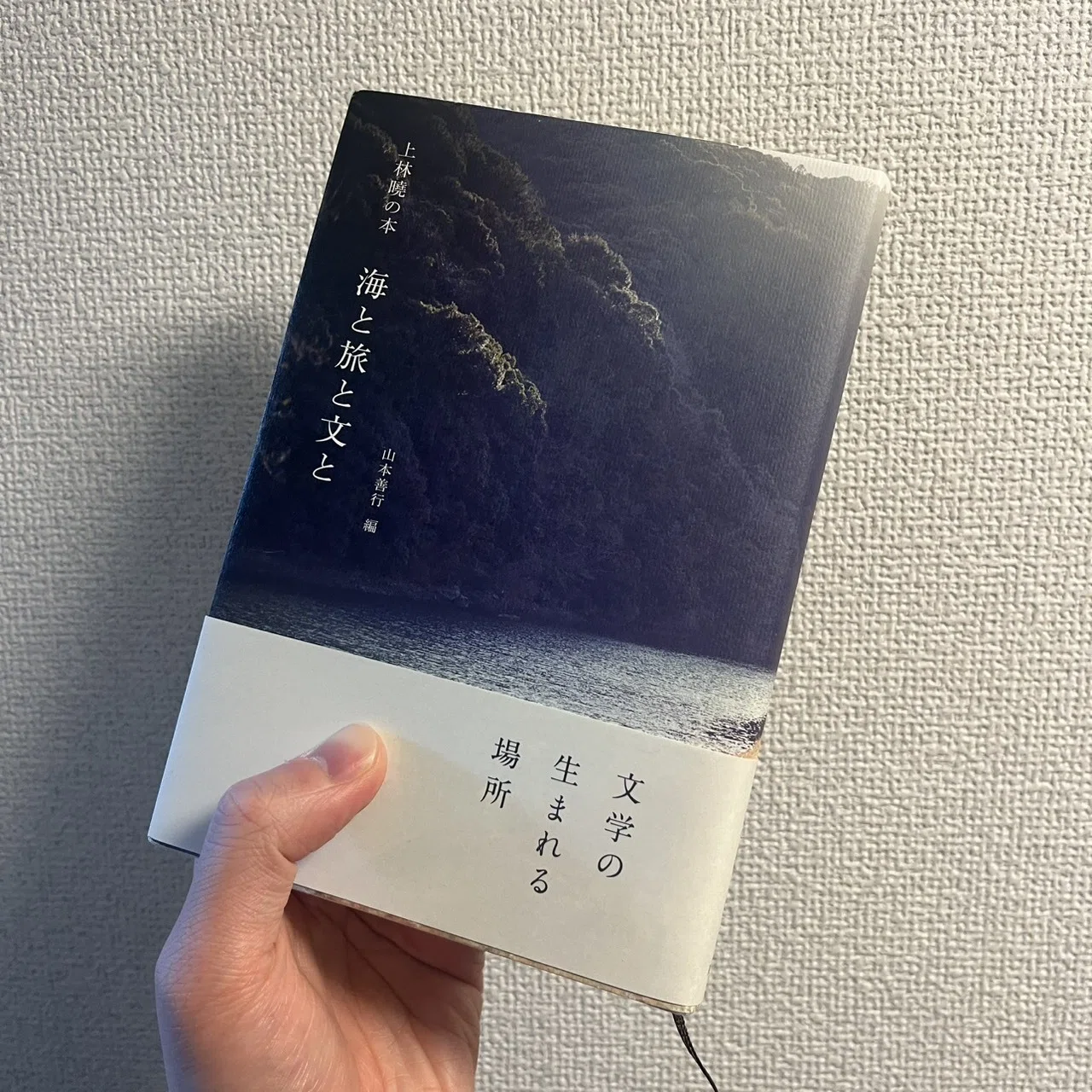 読書記録#50 山本善行 編『上林暁の本 海と旅と文と』夏葉社｜tetsuoji_