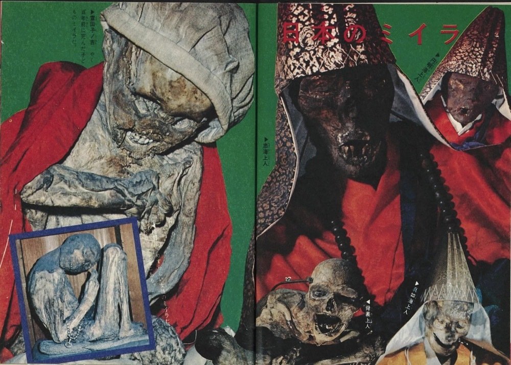 トラウマ児童書 ドラゴンブックス（1）｜puikko