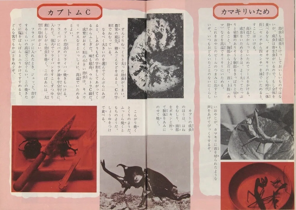 トラウマ児童書 ドラゴンブックス（1）｜puikko