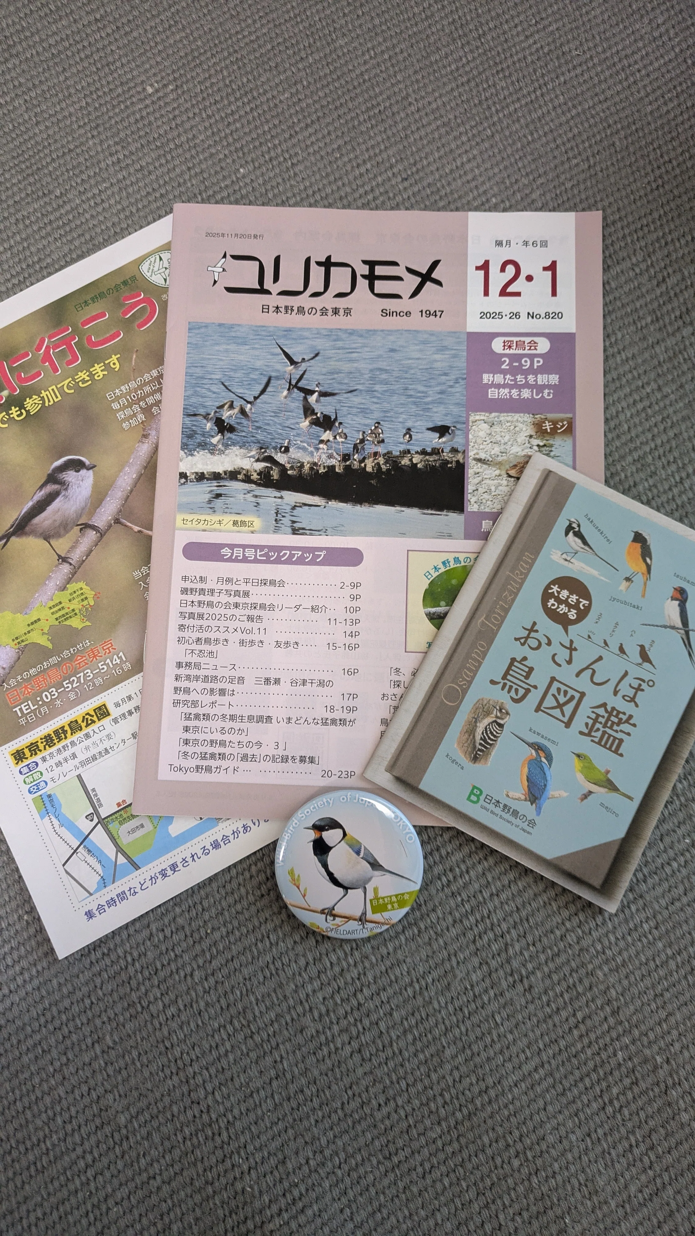 日本野鳥の会の探鳥会に参加しました｜pinson_note