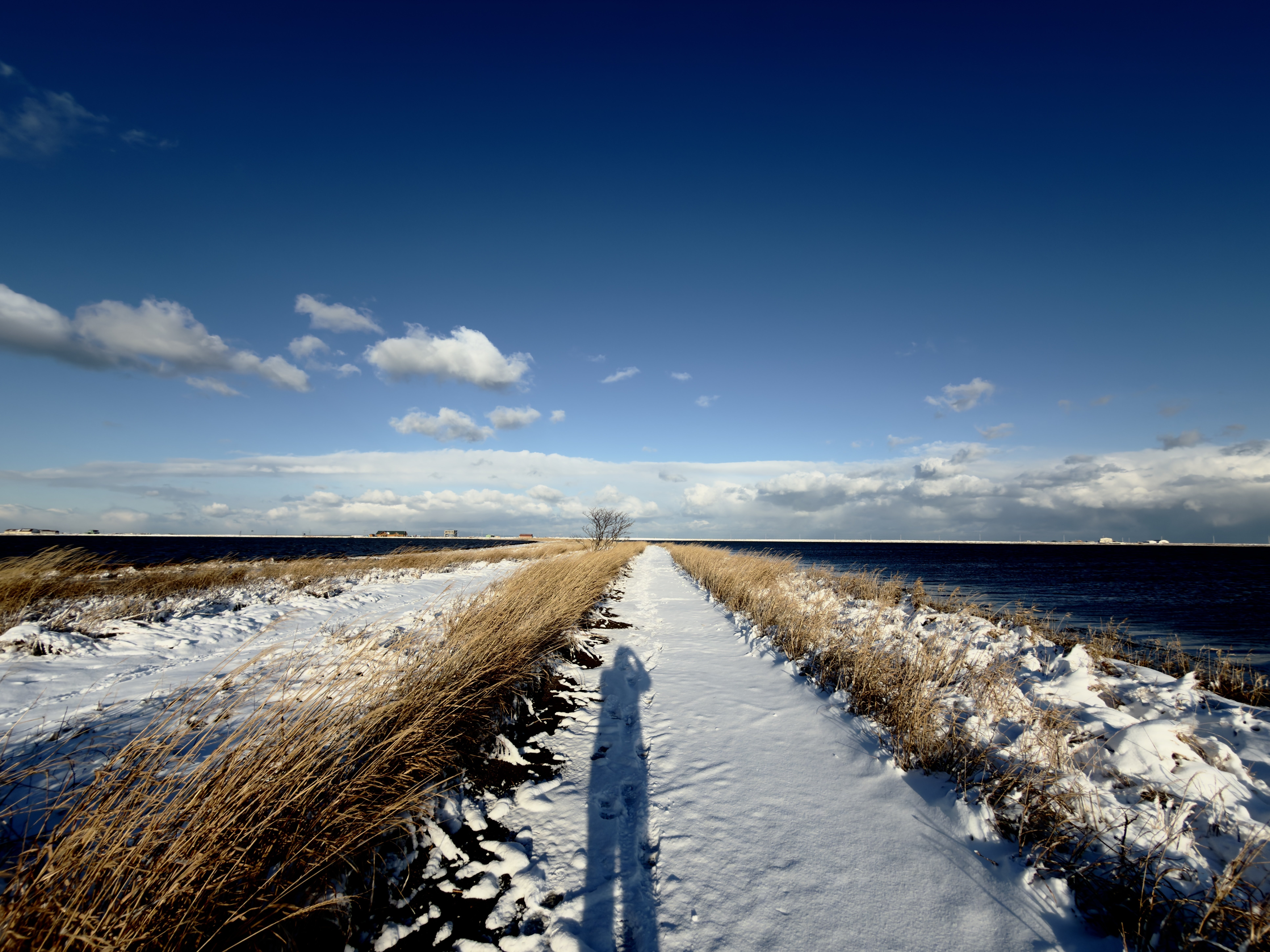 この世の果て」北海道の野付半島に行ってきた 【道東 Day1】｜Marino