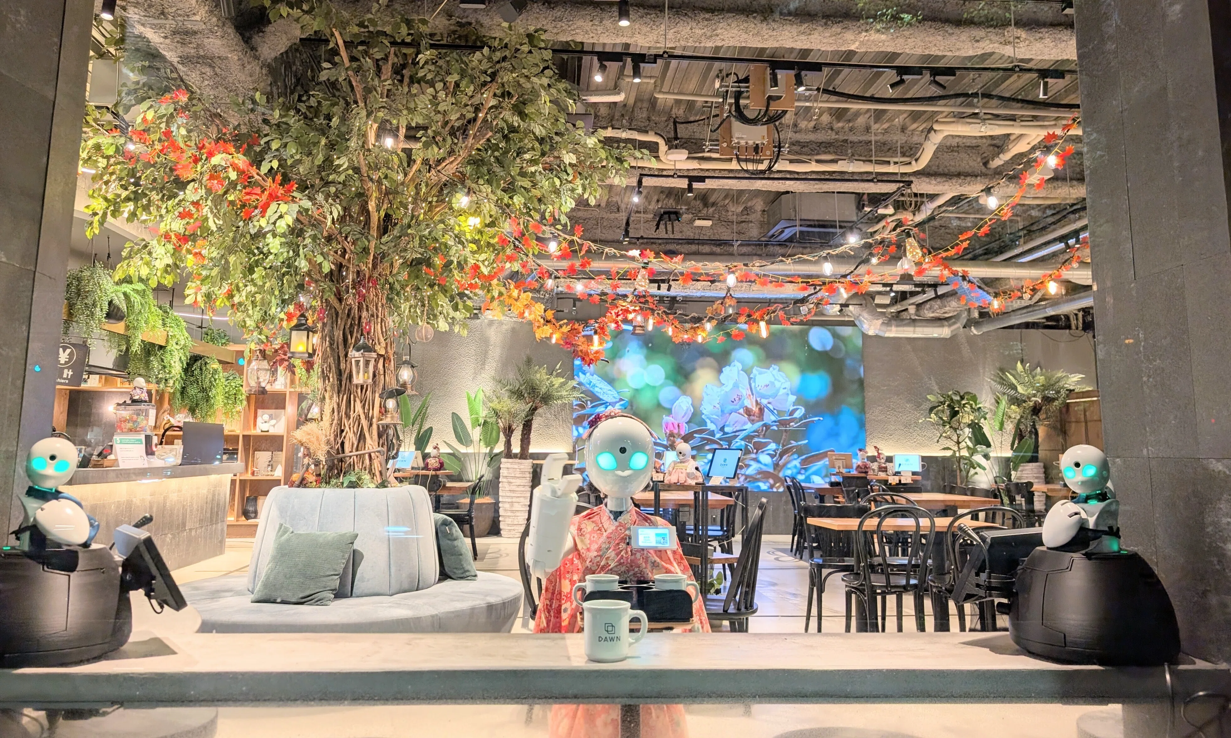 店内パワーアップ！すべてのお席でOriHime体験ができます！｜分身