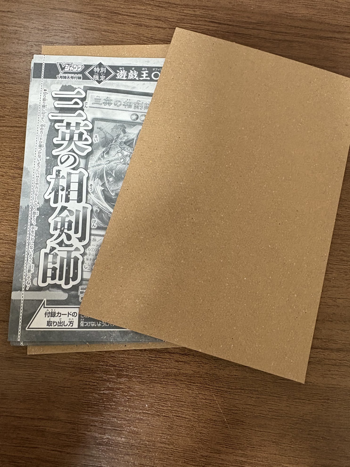 フリマ発送界隈の環境最強「ゆうパケットポストmini」とは？｜転売塾