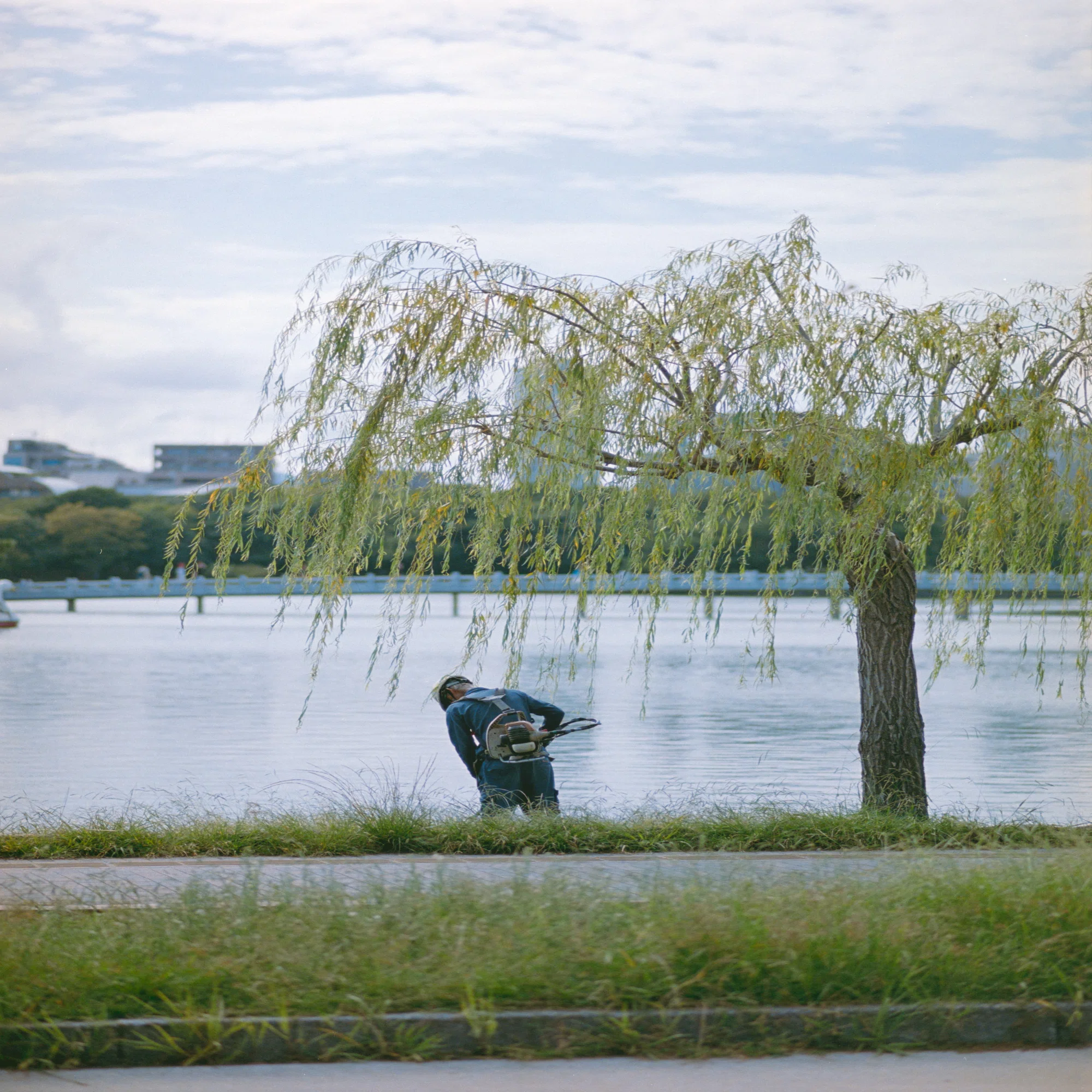 言い訳できない最強フィルムカメラ｜Nikon F100レビュー｜Kenta Mizune