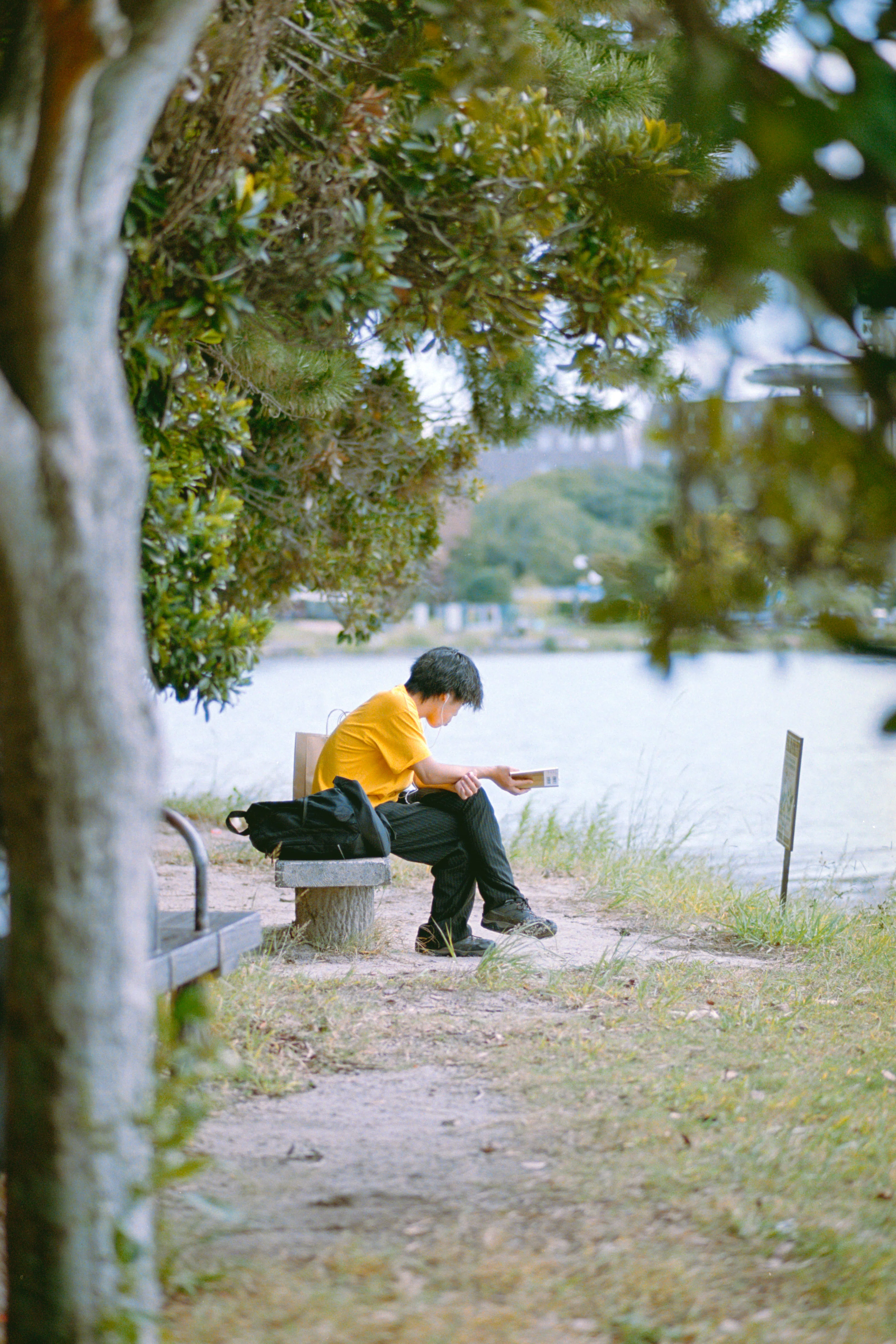 言い訳できない最強フィルムカメラ｜Nikon F100レビュー｜Kenta Mizune