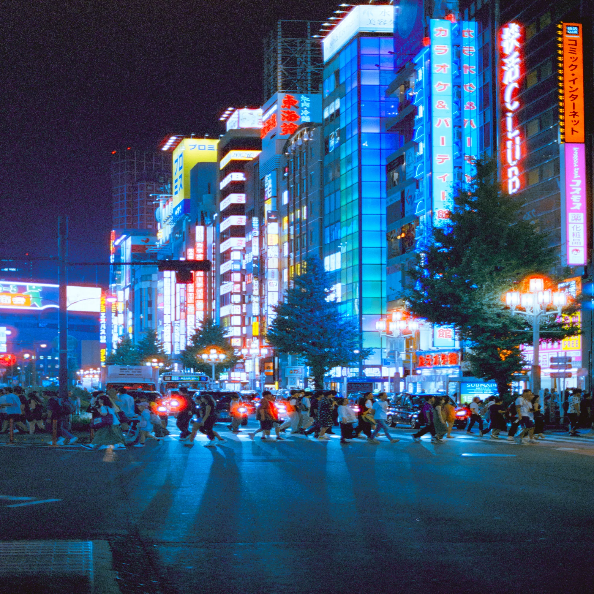 言い訳できない最強フィルムカメラ｜Nikon F100レビュー｜Kenta Mizune