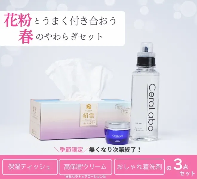 2025年もありがとうございました！今年一年のCeraLabo振り返り 