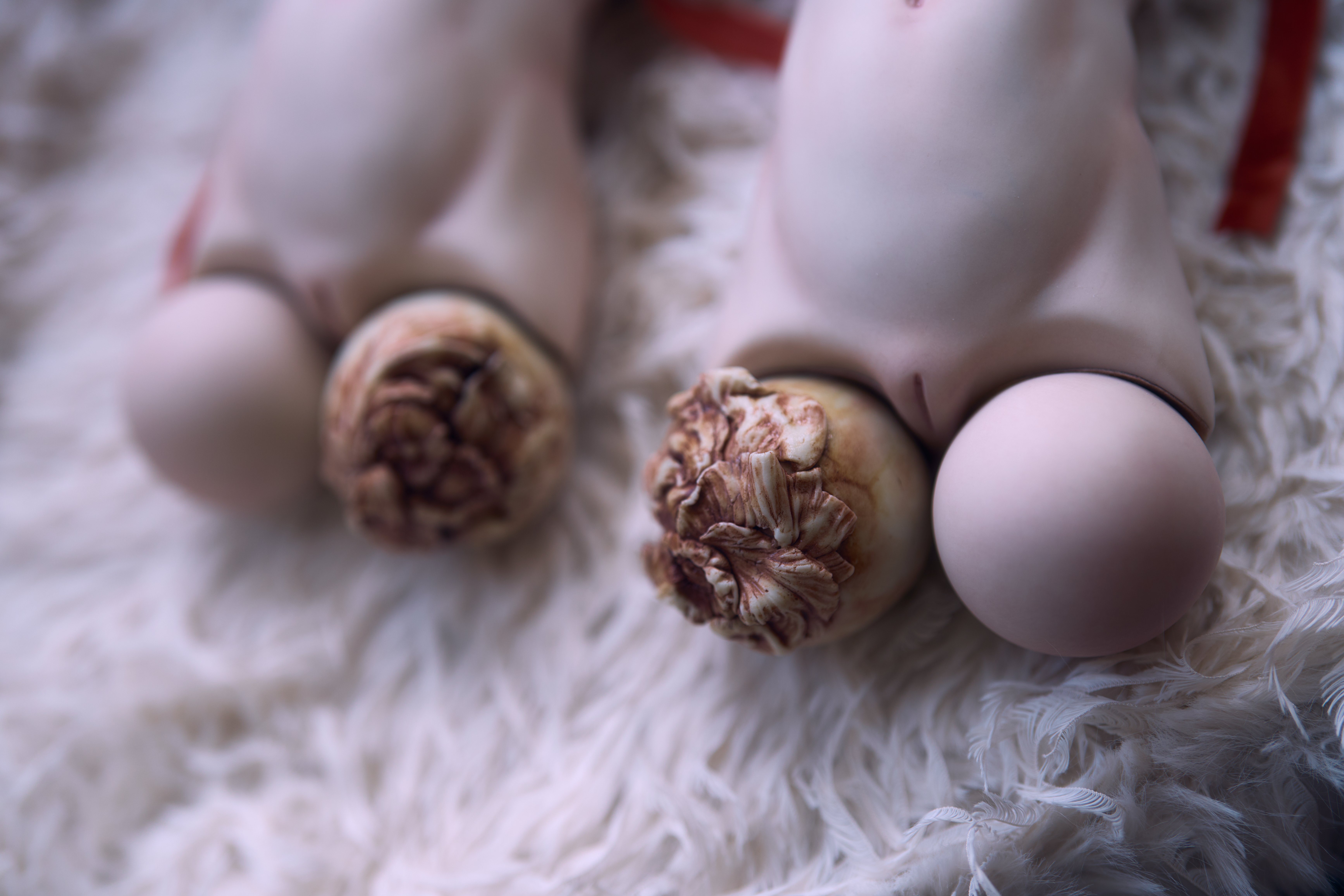 中川多理人形展「靑い花」異聞⑥ー火焔薔薇｜中川多理 Tari Nakagawa