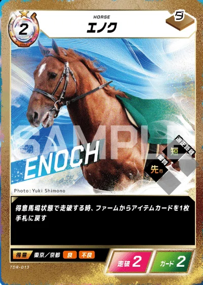競馬貴重なレアカード FOTH】Force of the horse ダート・馬場状態に応じて強くなるカード
