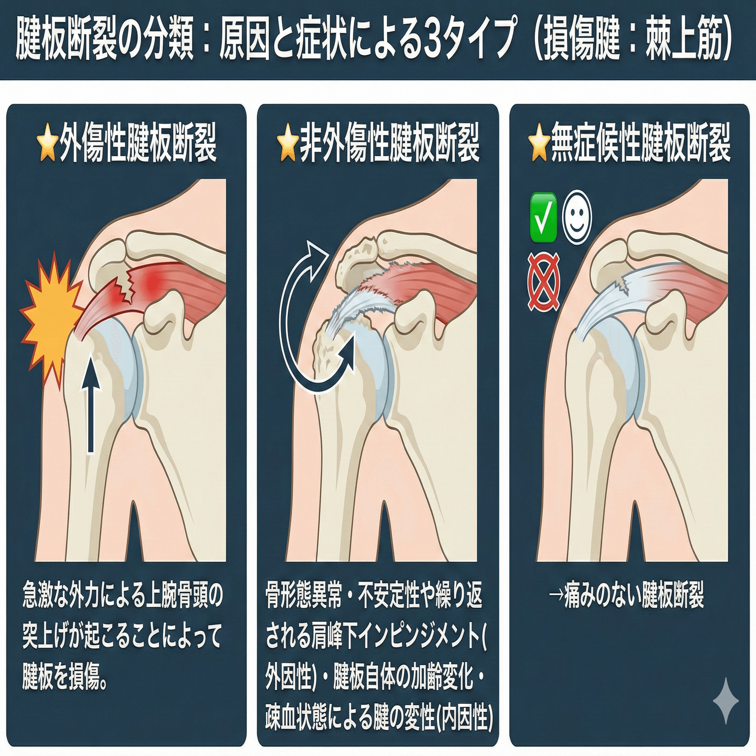 筋:機能とテスト : 姿勢と痛み　裁断済 ケンダル 筋:機能とテスト 姿勢と痛みの通販 by ヨッシー's shop｜ラクマ