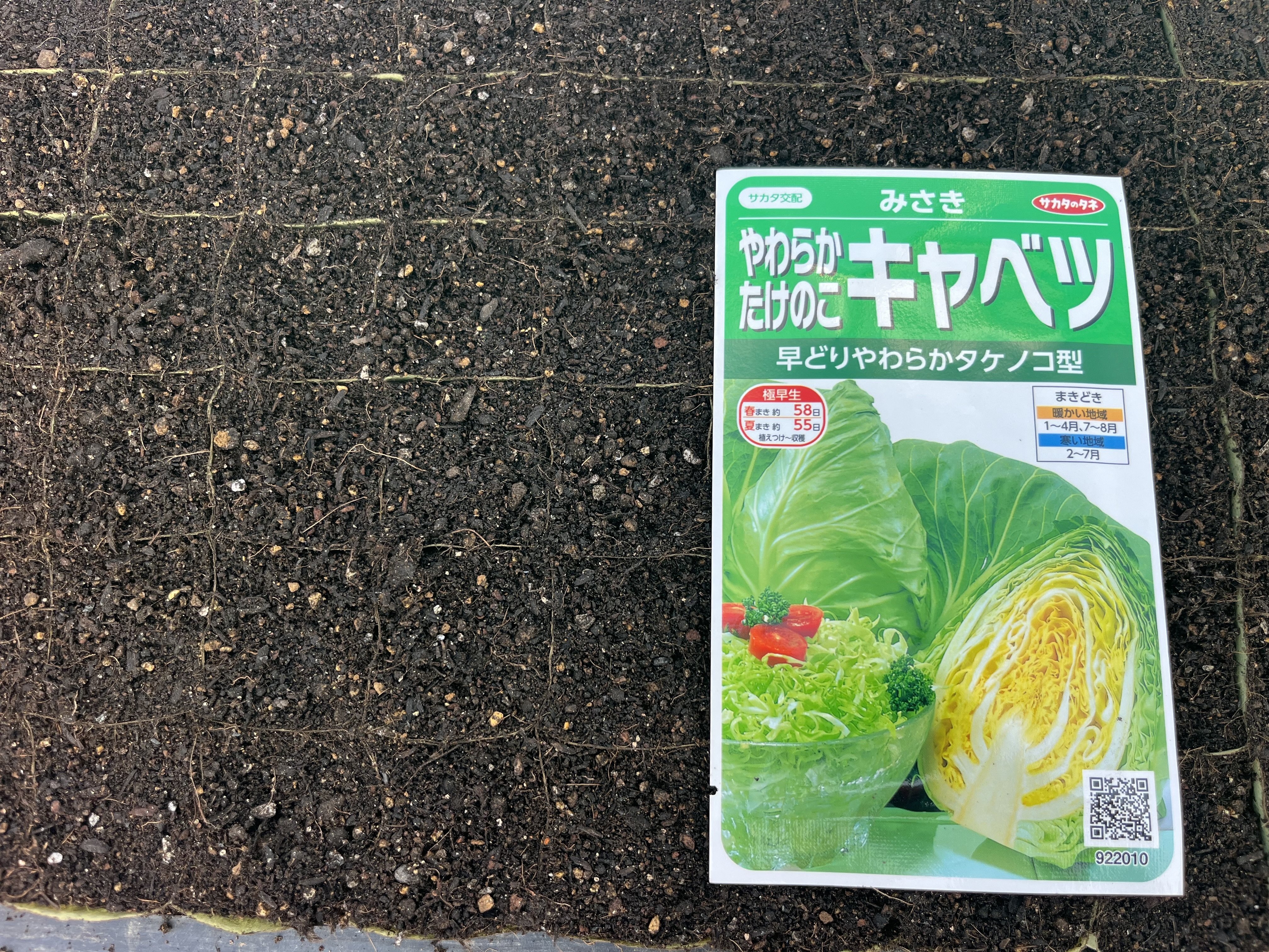 なすキャベツ様　オーダーページ キャベツのうまたれ】 茄子とかぼちゃのさっぱり揚げ浸し風｜レシピ
