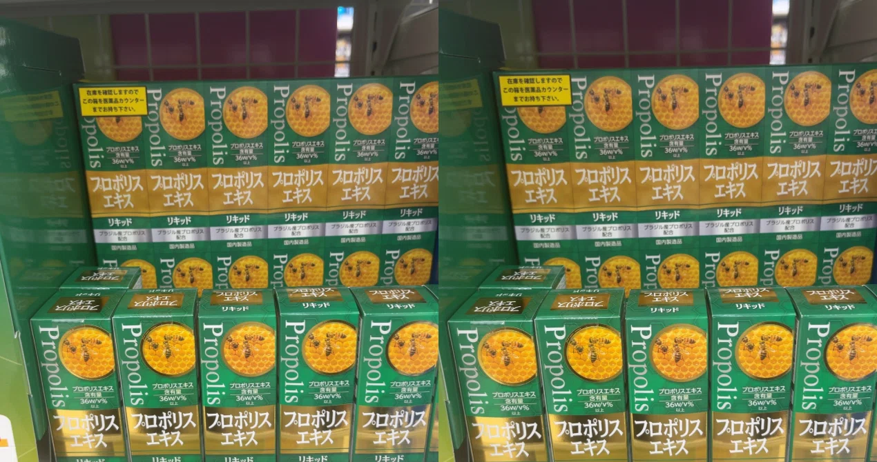 当時のメディア報道・掲載写真