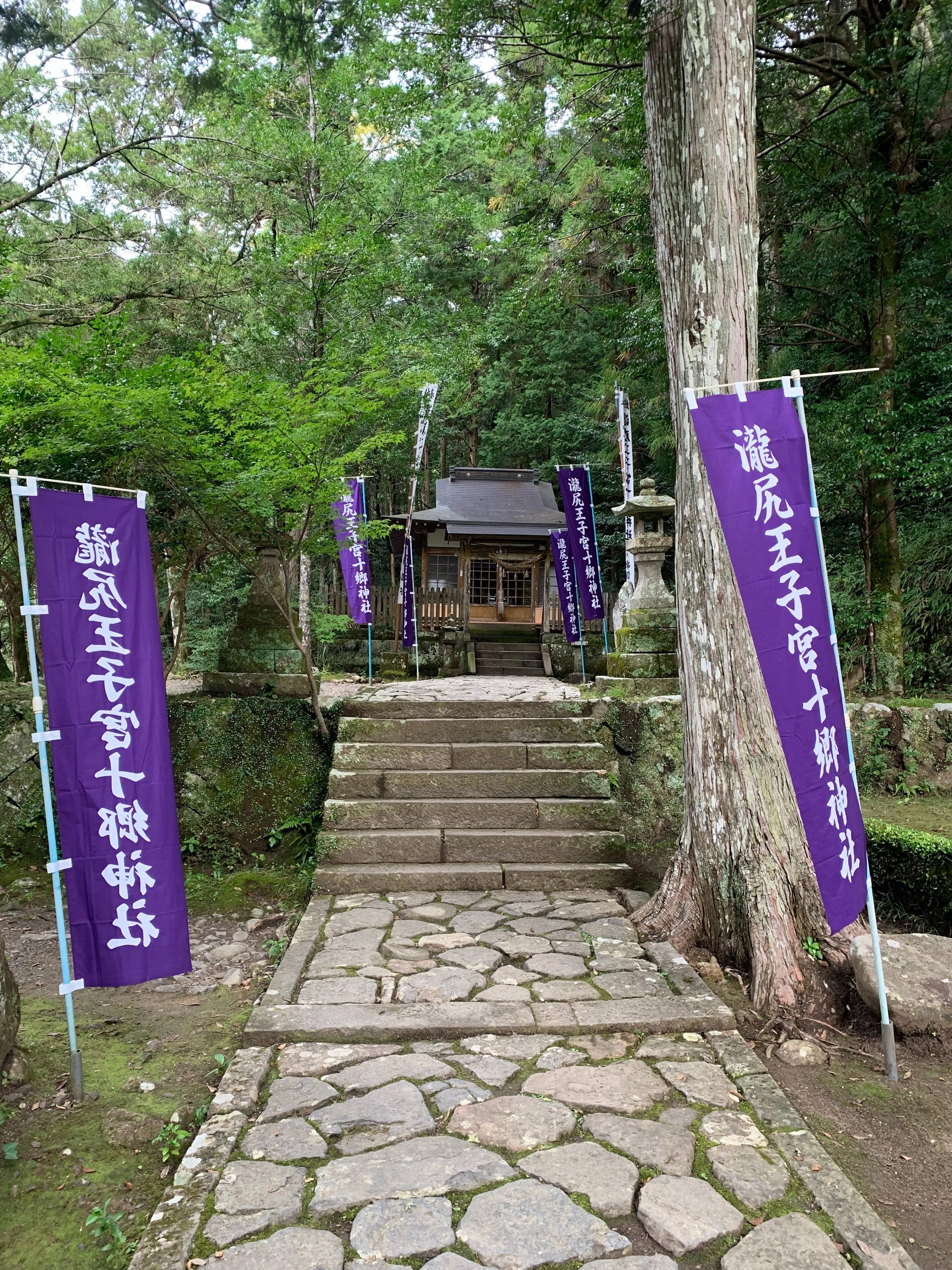 和歌山・四国欲張り旅行2025 ② 熊野古道中辺路を歩く （前編
