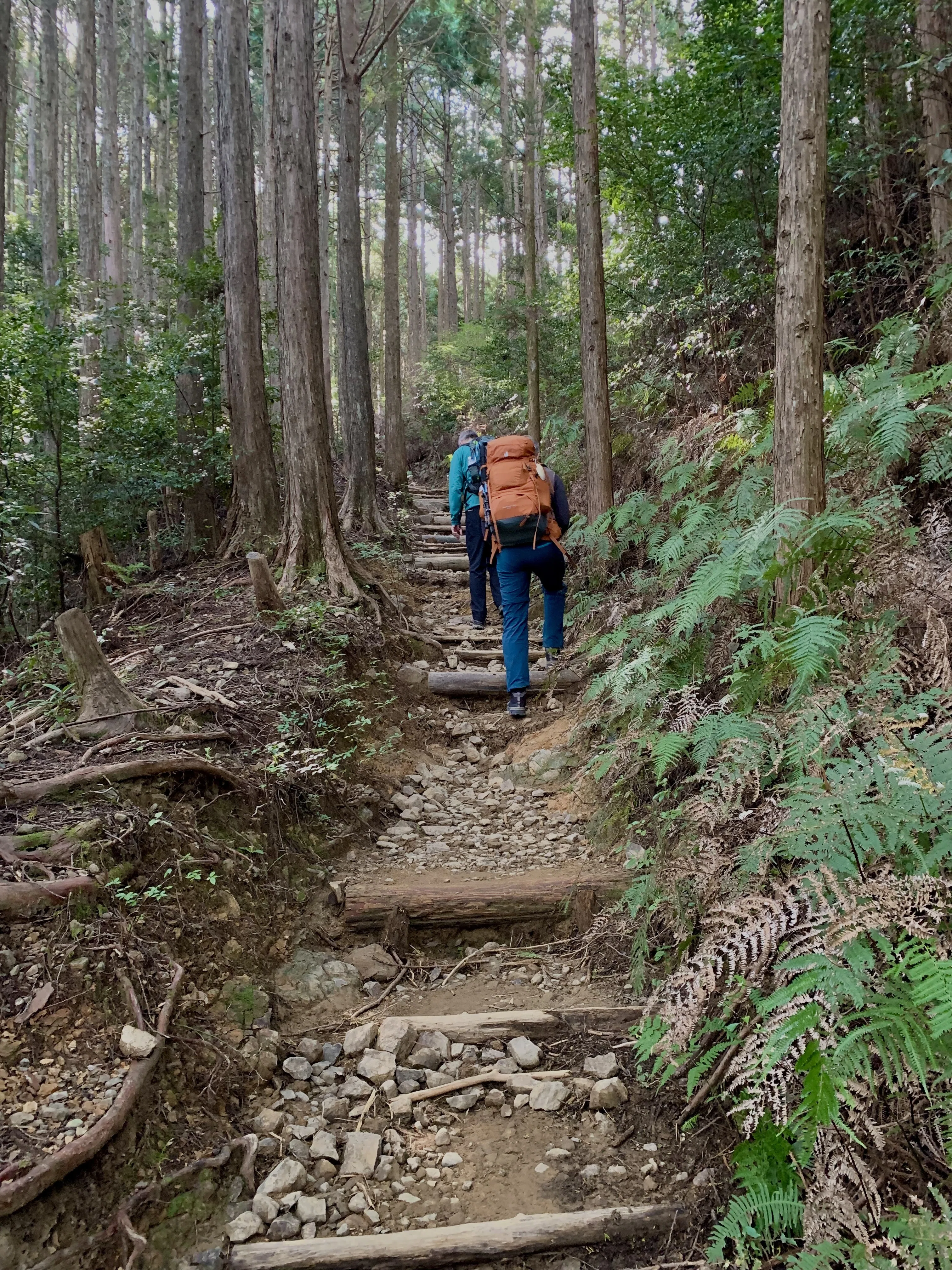 和歌山・四国欲張り旅行2025 ② 熊野古道中辺路を歩く （前編