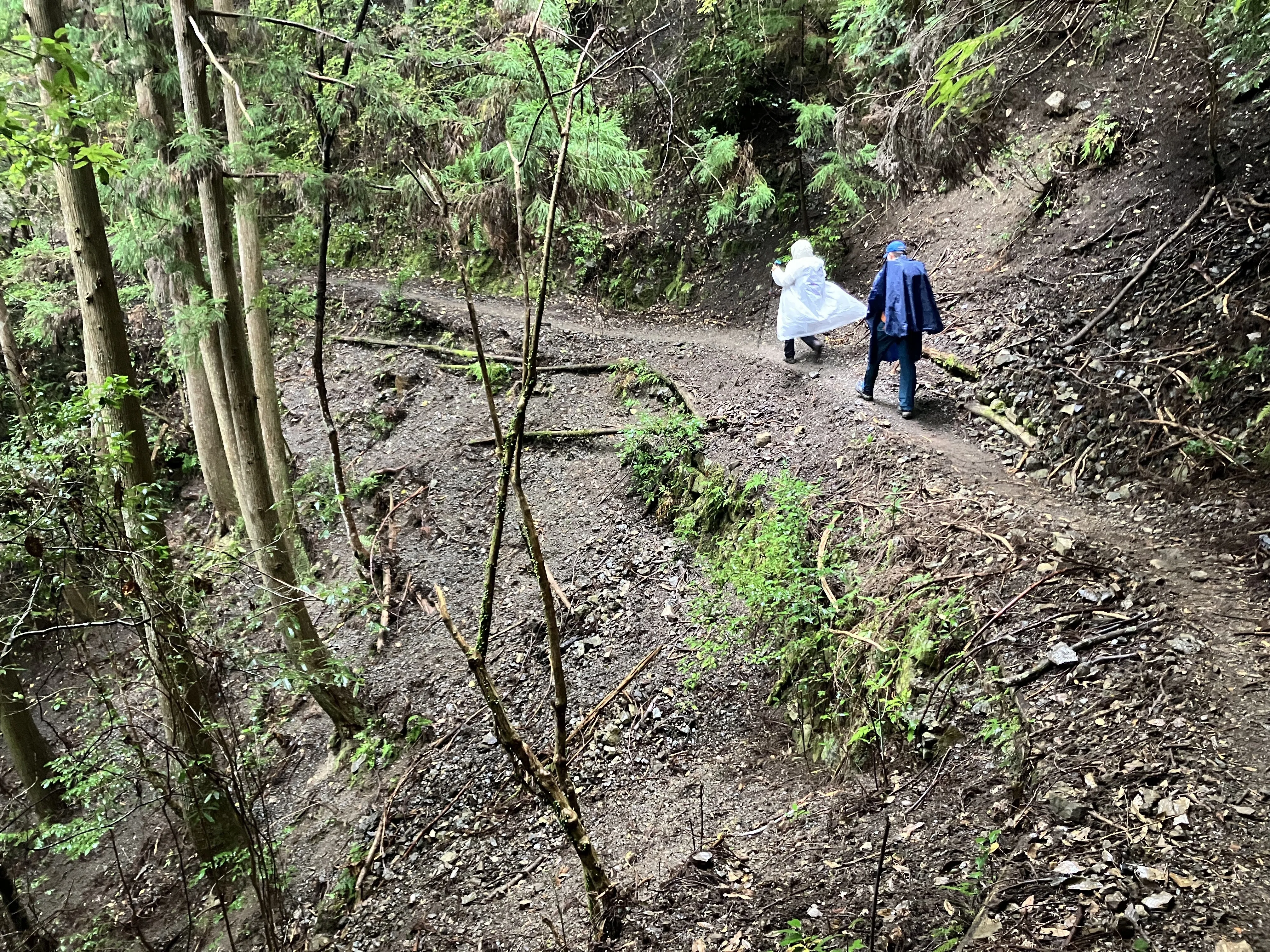 和歌山・四国欲張り旅行2025 ② 熊野古道中辺路を歩く （前編