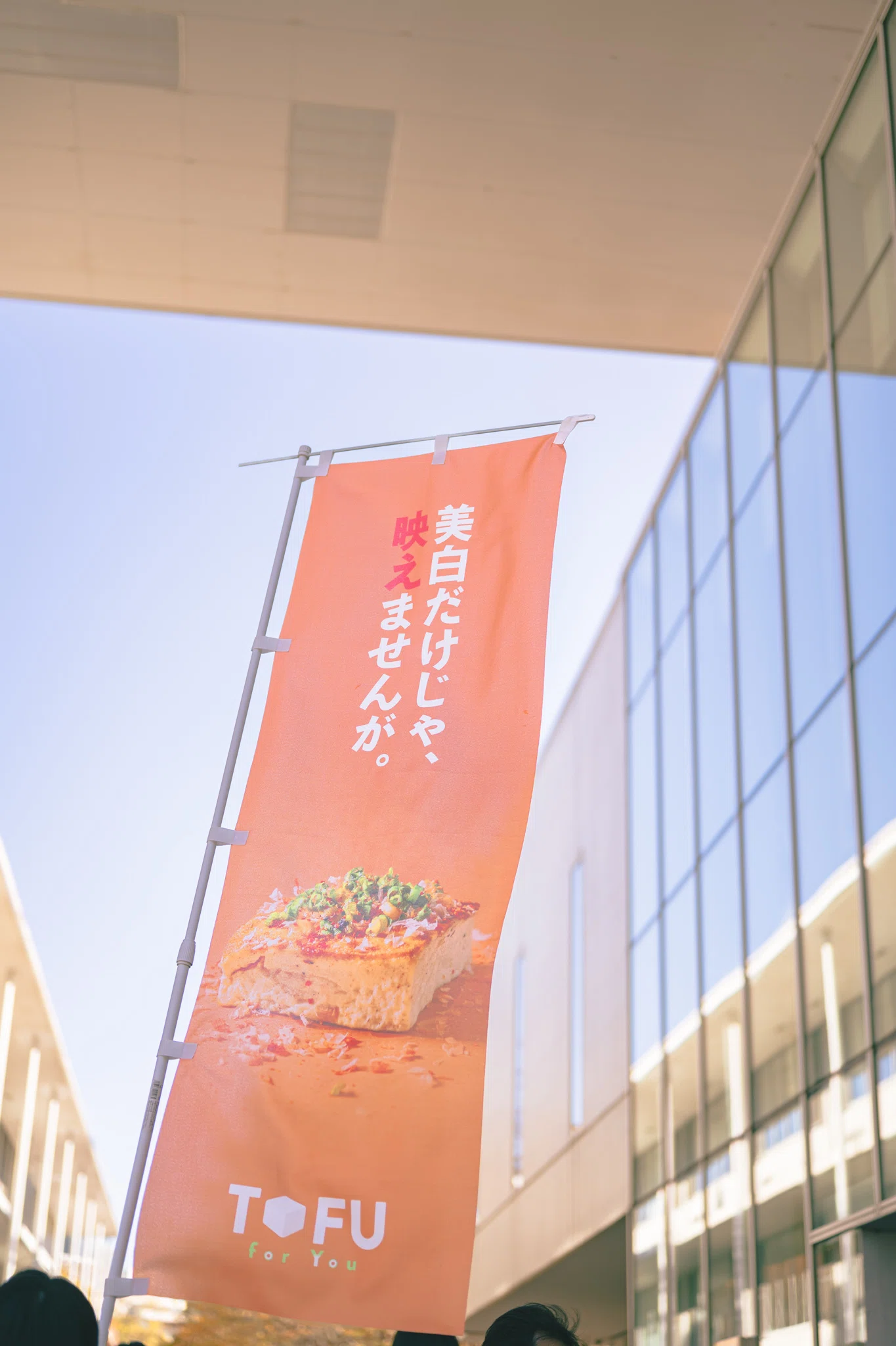 デザインサークルが真夏に5時間歩きながら豆腐を食べ歩いた話 第三話｜AH