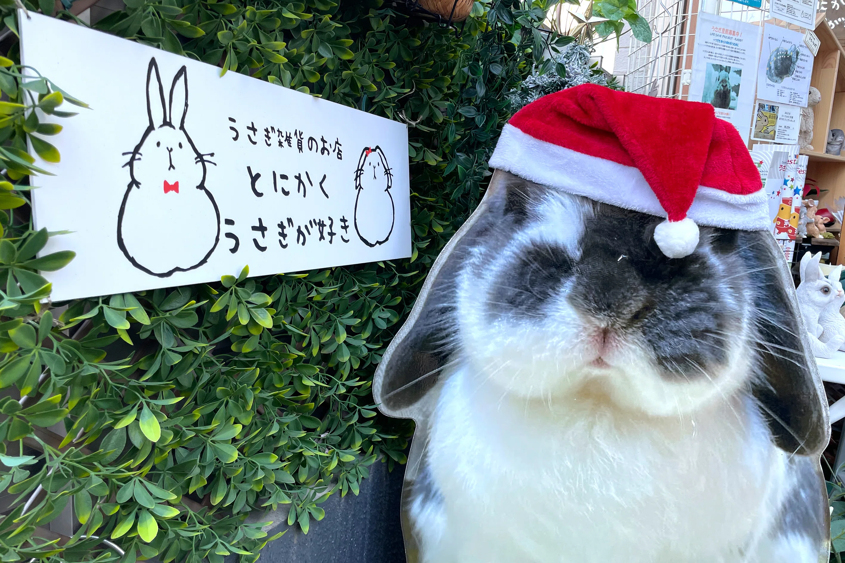 うさぎ好き プロフィール確認お願いします様 うさぎ好き プロフィール確認お願いします様 リクエスト 3点 まとめ
