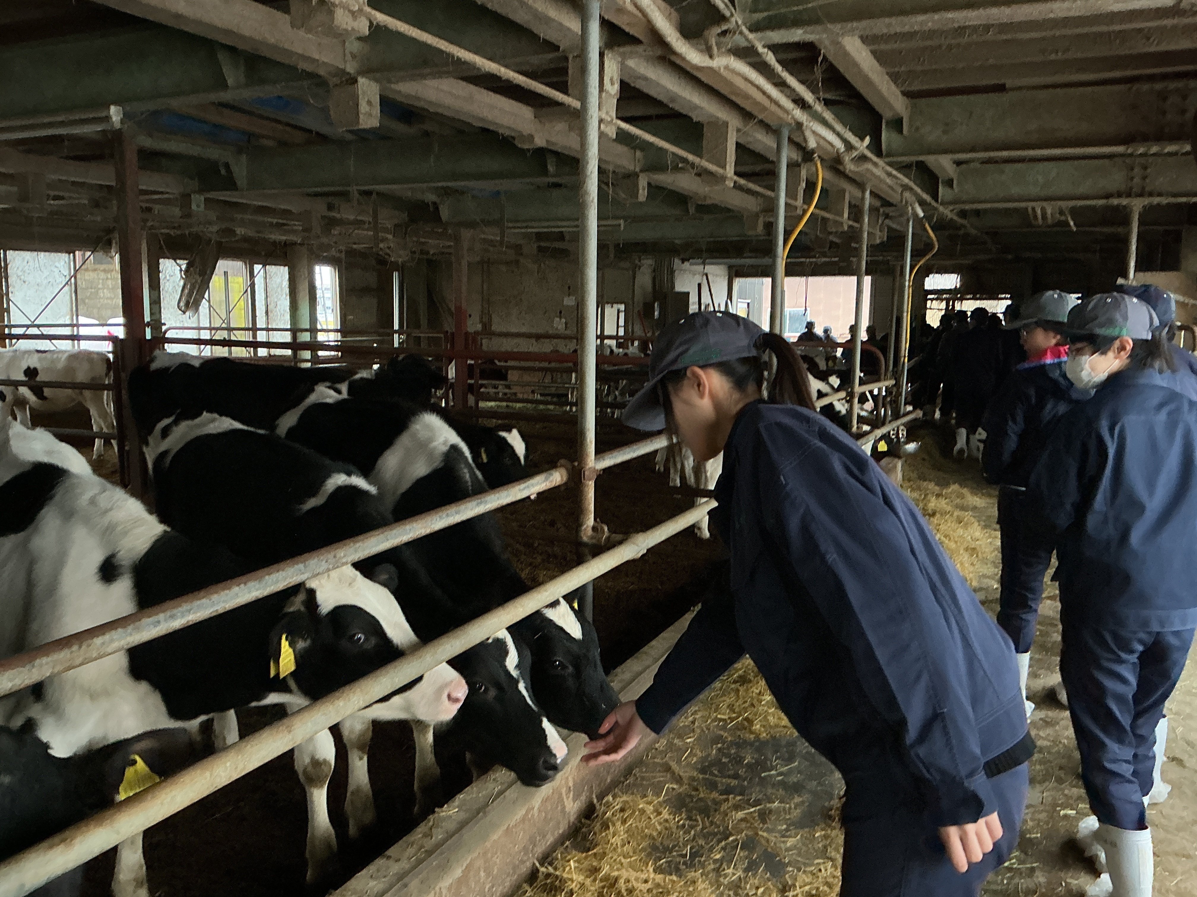 農業DX加速化推進事業～酪農家見学～｜新潟県立加茂農林高等学校